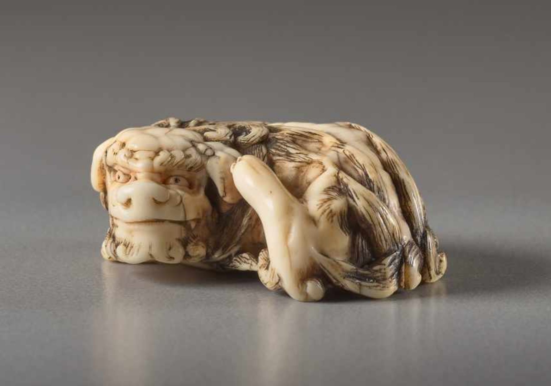 AN IVORY NETSUKE OF A RECUMBENT SHISHI Ivory netsuke. Japan, 19th centuryThis work features all - Image 2 of 5