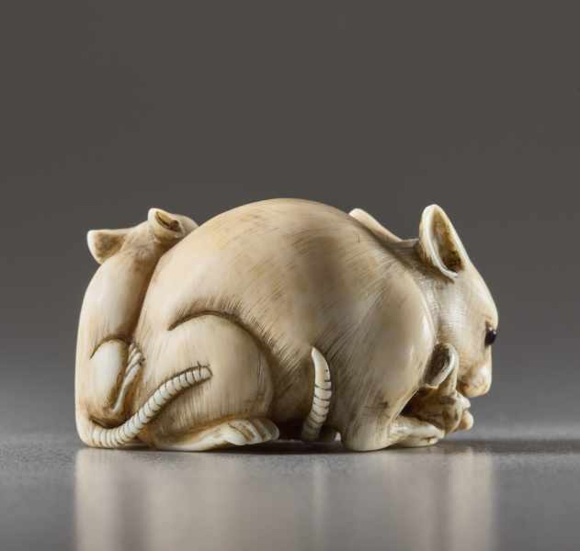 AN IVORY NETSUKE BY TOMOKAZU OF TWO RATS Ivory netsuke. Japan, 19th centuryA lively and amusing - Image 4 of 5