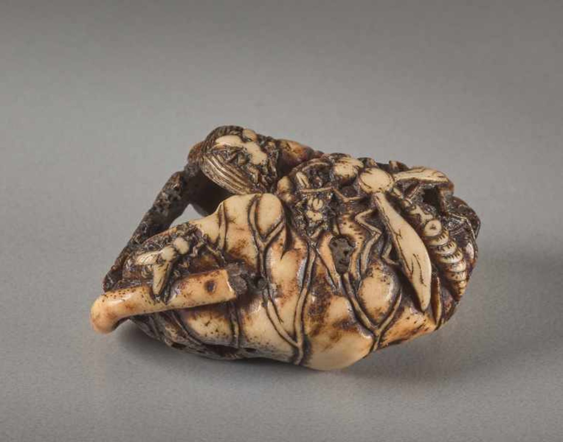 A STAG ANTLER NETSUKE BY SHUNMIN OF A LOTUS LEAF AND INSECTS Stag antler netsuke. Japan, first - Image 3 of 5