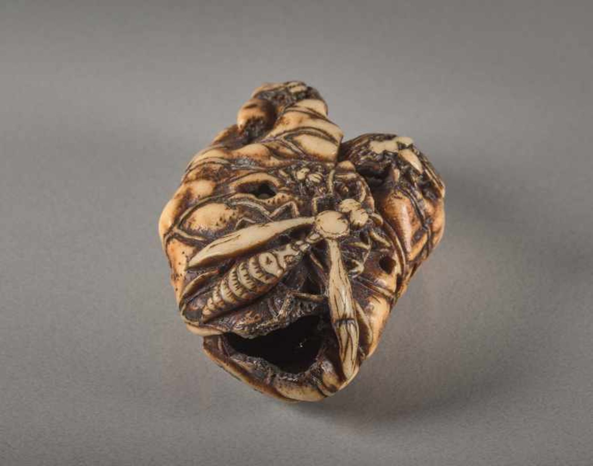 A STAG ANTLER NETSUKE BY SHUNMIN OF A LOTUS LEAF AND INSECTS Stag antler netsuke. Japan, first - Image 2 of 5