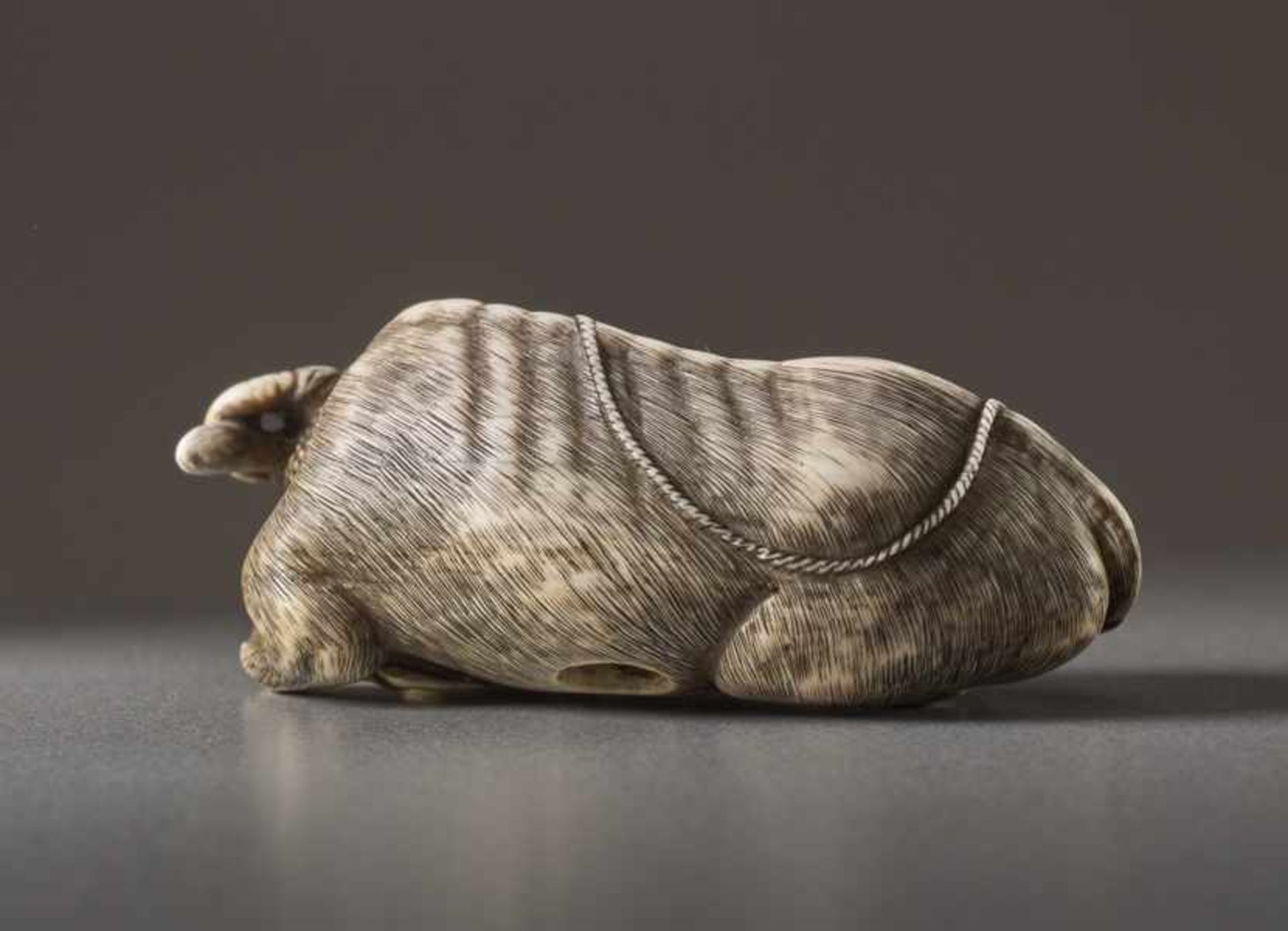 AN IVORY NETSUKE OF A COW SIGNED TOMOTADA Ivory netsuke. Japan, 18th centuryKyoto works depicting - Image 4 of 5