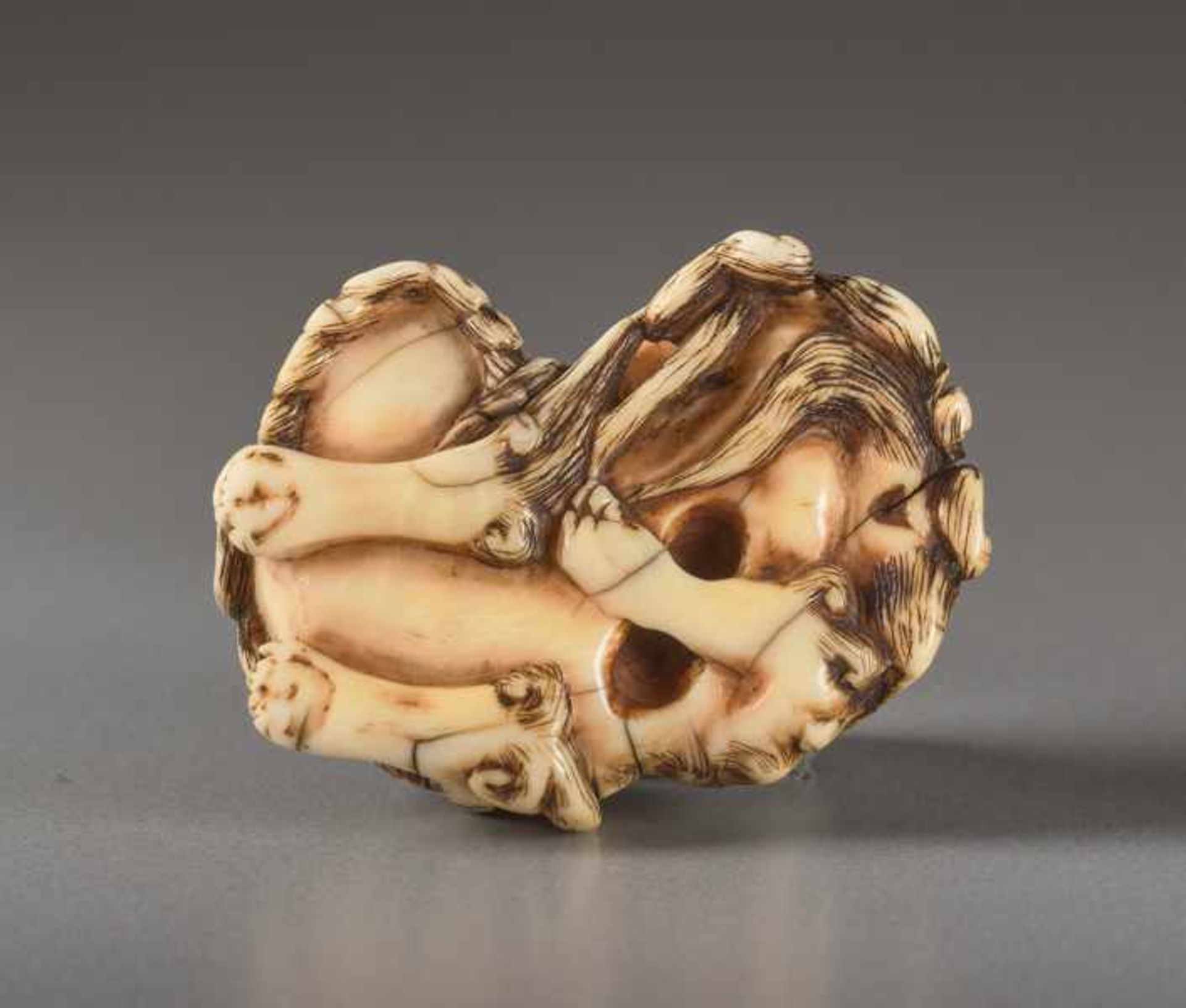 AN IVORY NETSUKE OF A RECUMBENT SHISHI Ivory netsuke. Japan, 19th centuryThis work features all - Image 5 of 5