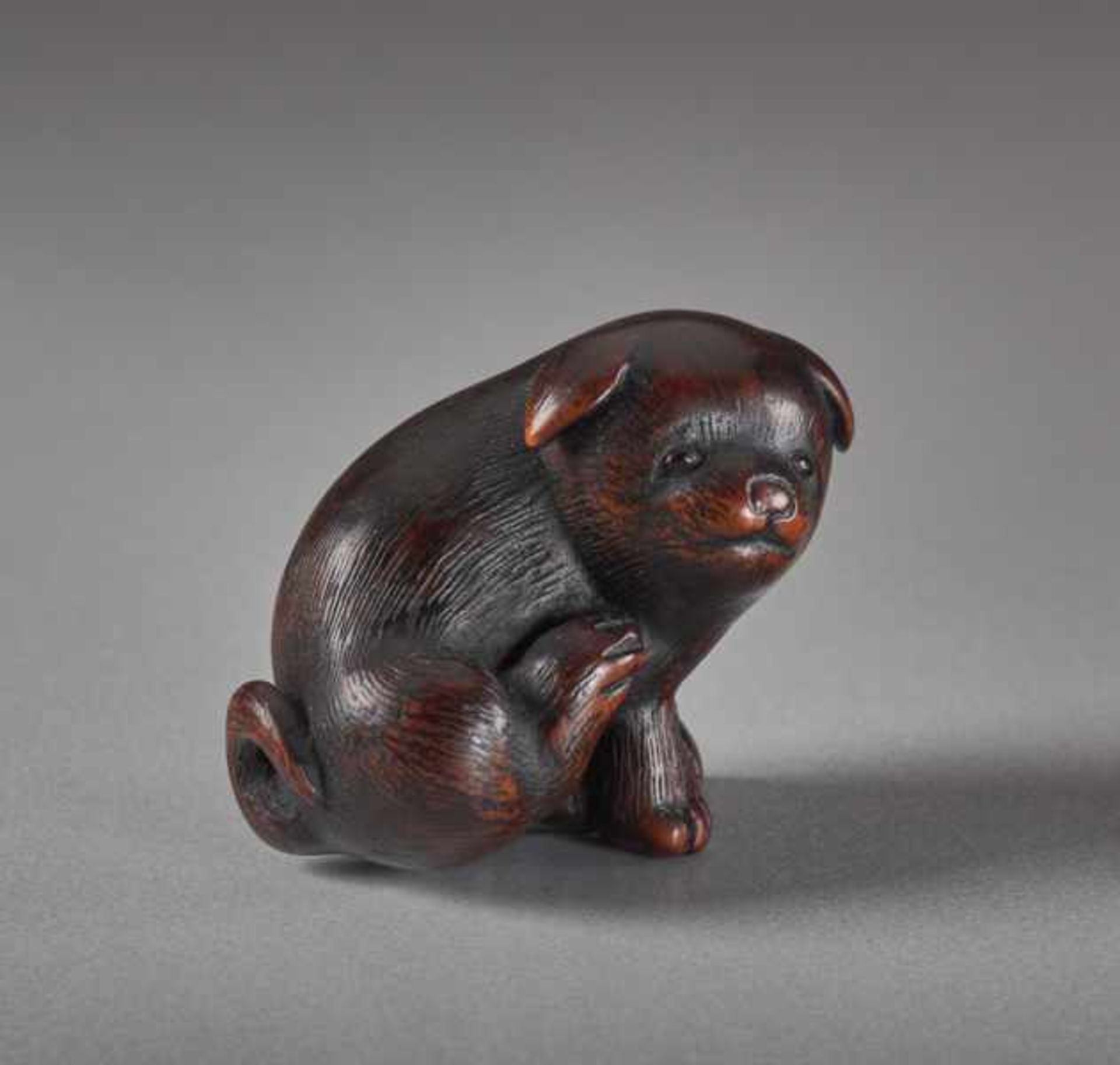 A WOOD NETSUK E BY KAGETOSHI OF A PUPPY Wood netsuke. Japan, first half of 19th centuryA - Image 2 of 6