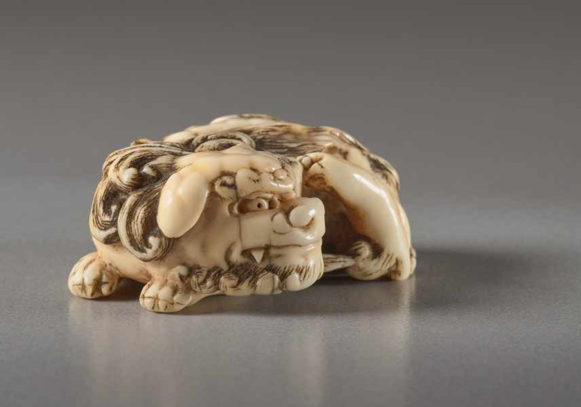 AN IVORY NETSUKE OF A RECUMBENT SHISHI Ivory netsuke. Japan, 19th centuryThis work features all - Image 3 of 5