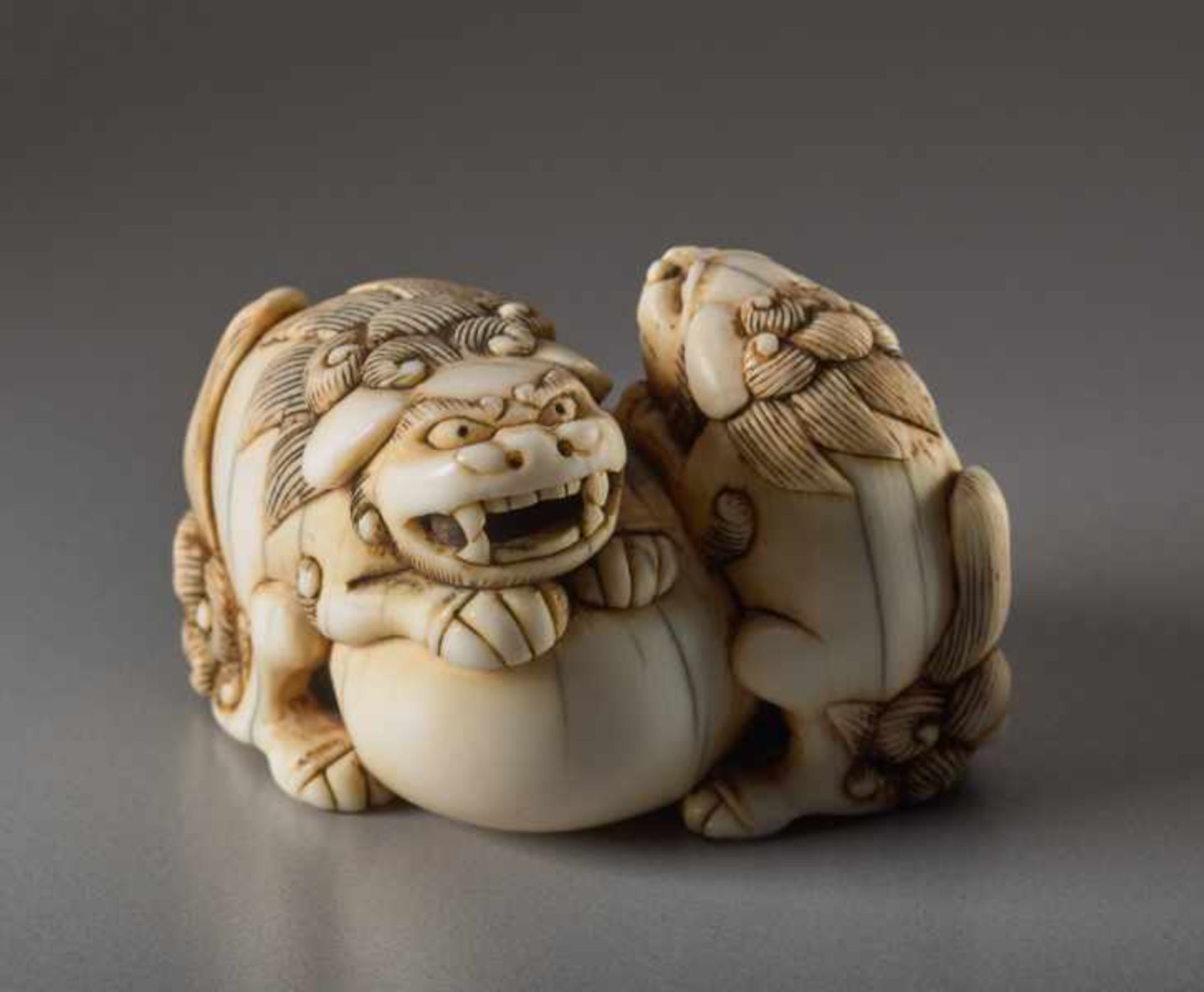 AN IVORY NETSUKE OF TWO SHISHI AND BALL Ivory netsuke. Japan, 18th centuryThe lion dog has a movable - Image 3 of 6