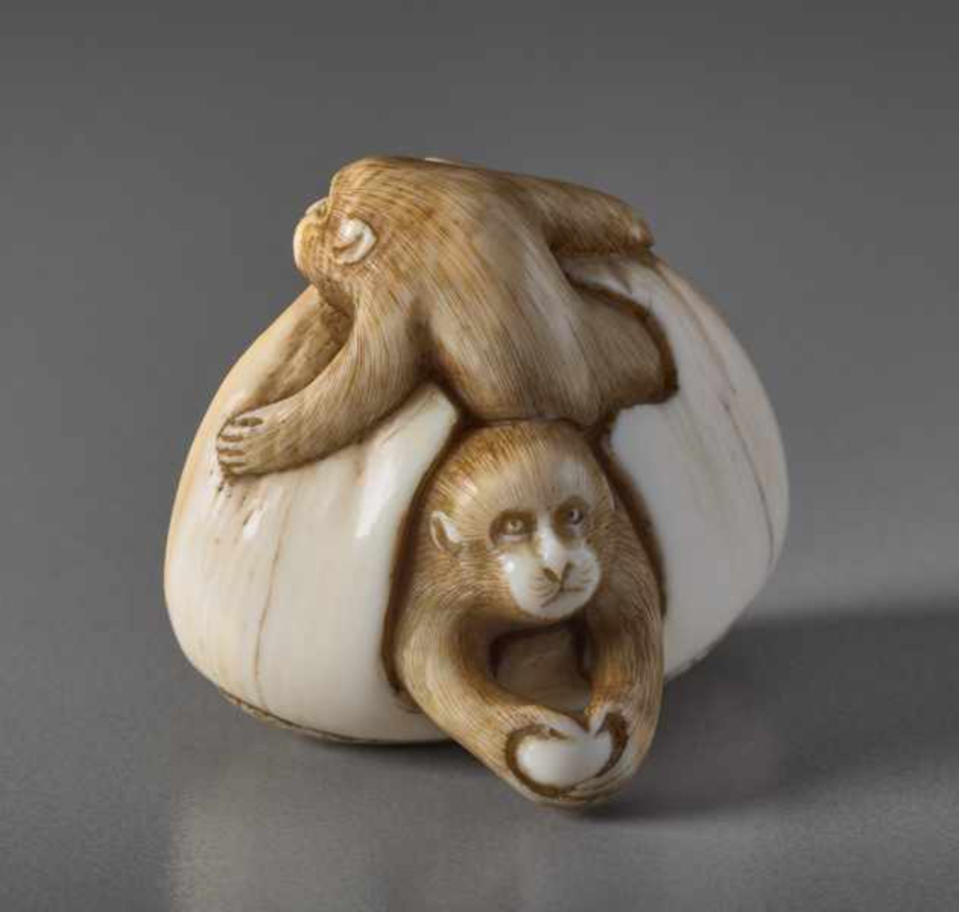 AN IVORY NETSUKE BY TOMOCHIKA OF MONKEYS IN A CHESTNUT Ivory netsuke. Japan, 19th centuryThis - Image 5 of 7