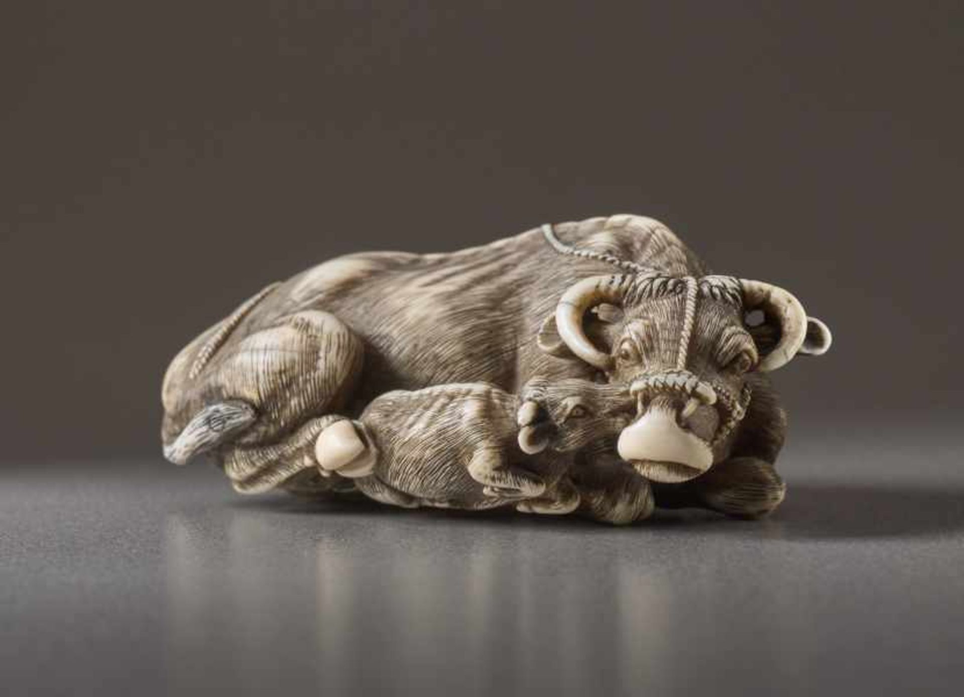 AN IVORY NETSUKE OF A COW SIGNED TOMOTADA Ivory netsuke. Japan, 18th centuryKyoto works depicting - Image 3 of 5