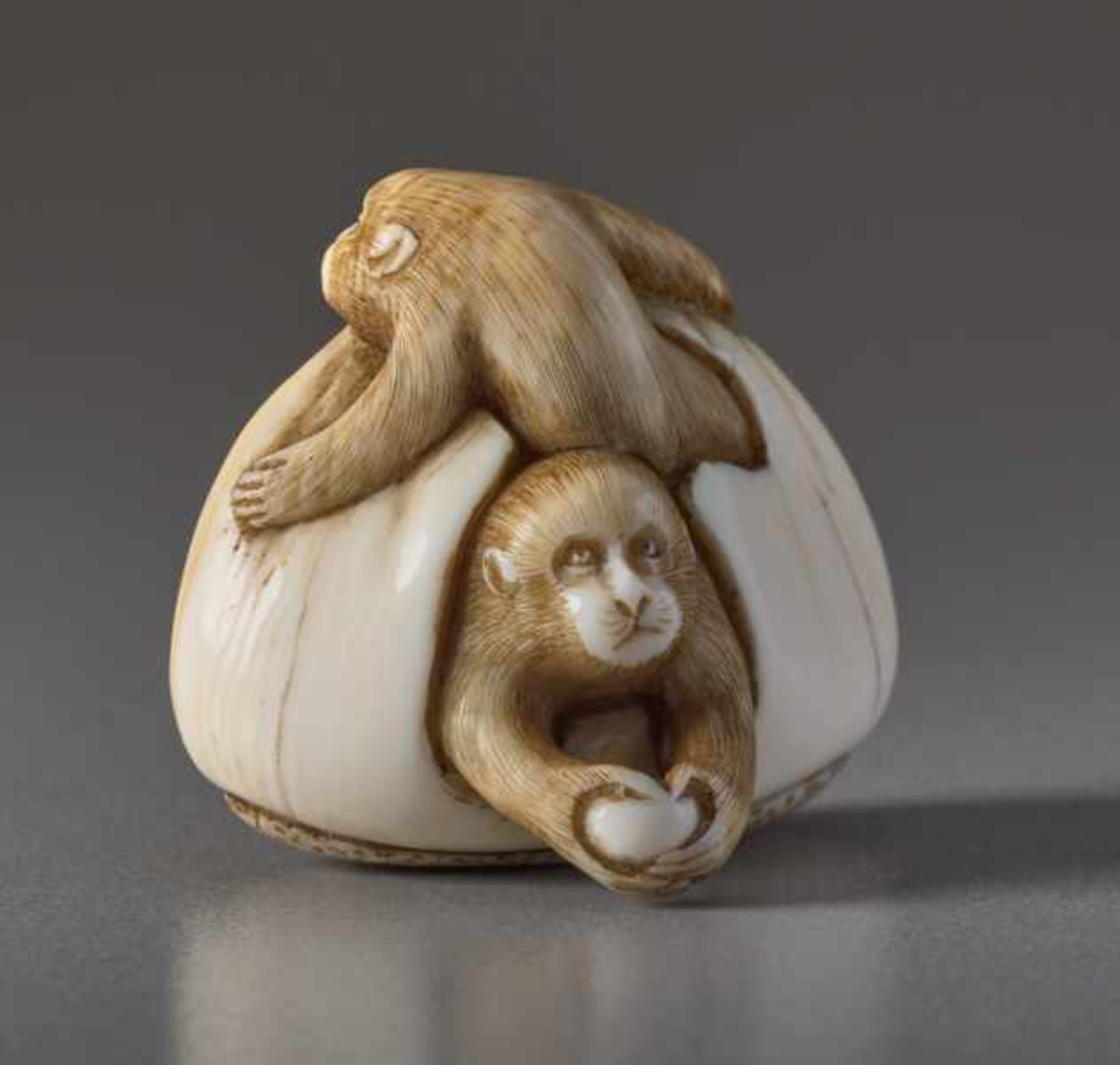 AN IVORY NETSUKE BY TOMOCHIKA OF MONKEYS IN A CHESTNUT Ivory netsuke. Japan, 19th centuryThis