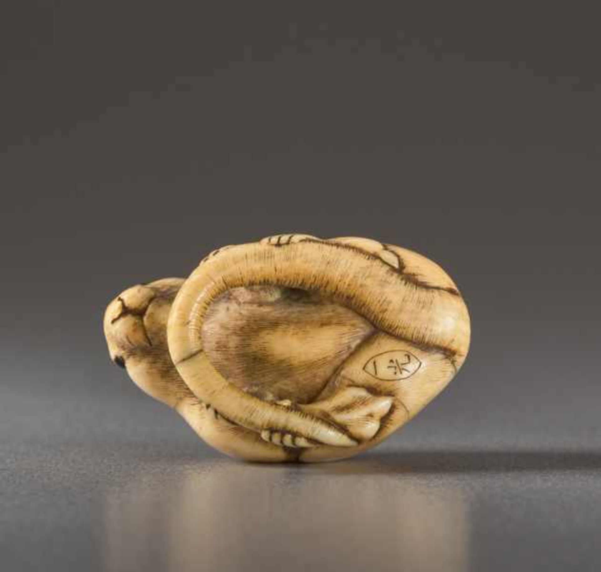 AN IVORY NETSUKE BY IKKO OF A SEATED RAT Ivory netsuke. Japan, 19th centuryA very good work, with - Image 4 of 5