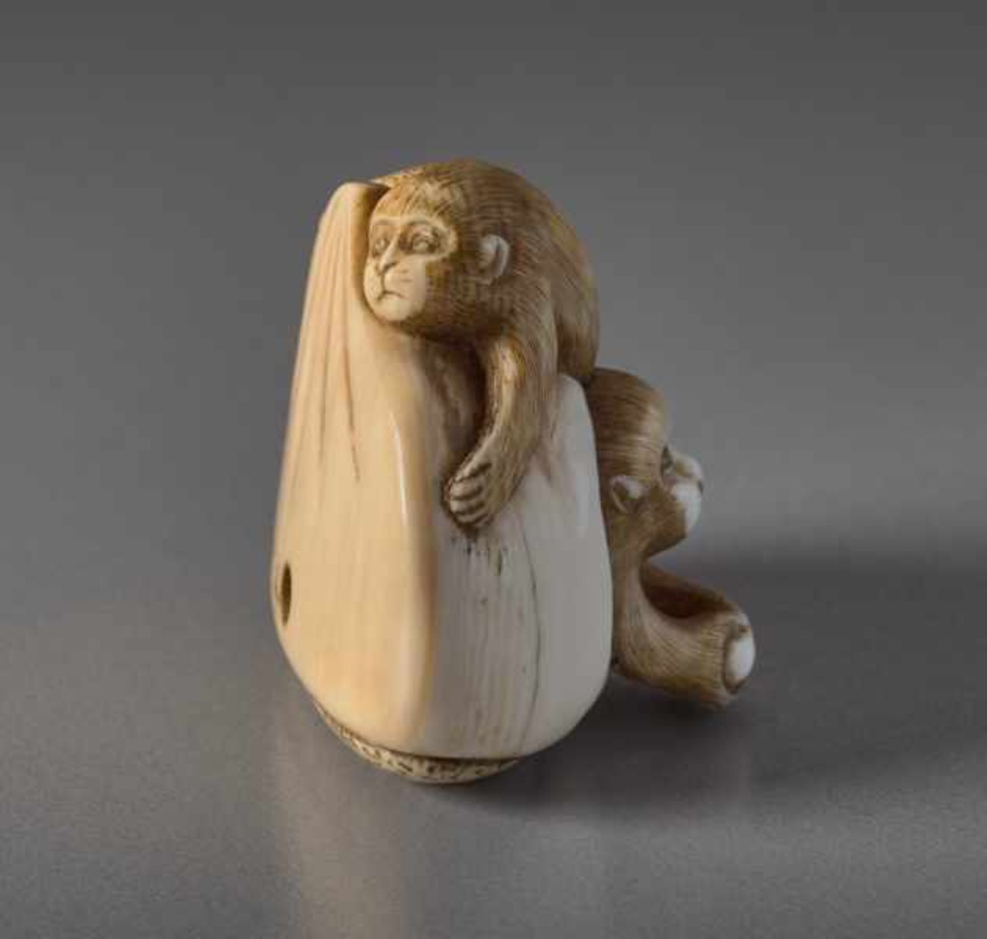 AN IVORY NETSUKE BY TOMOCHIKA OF MONKEYS IN A CHESTNUT Ivory netsuke. Japan, 19th centuryThis - Image 4 of 7