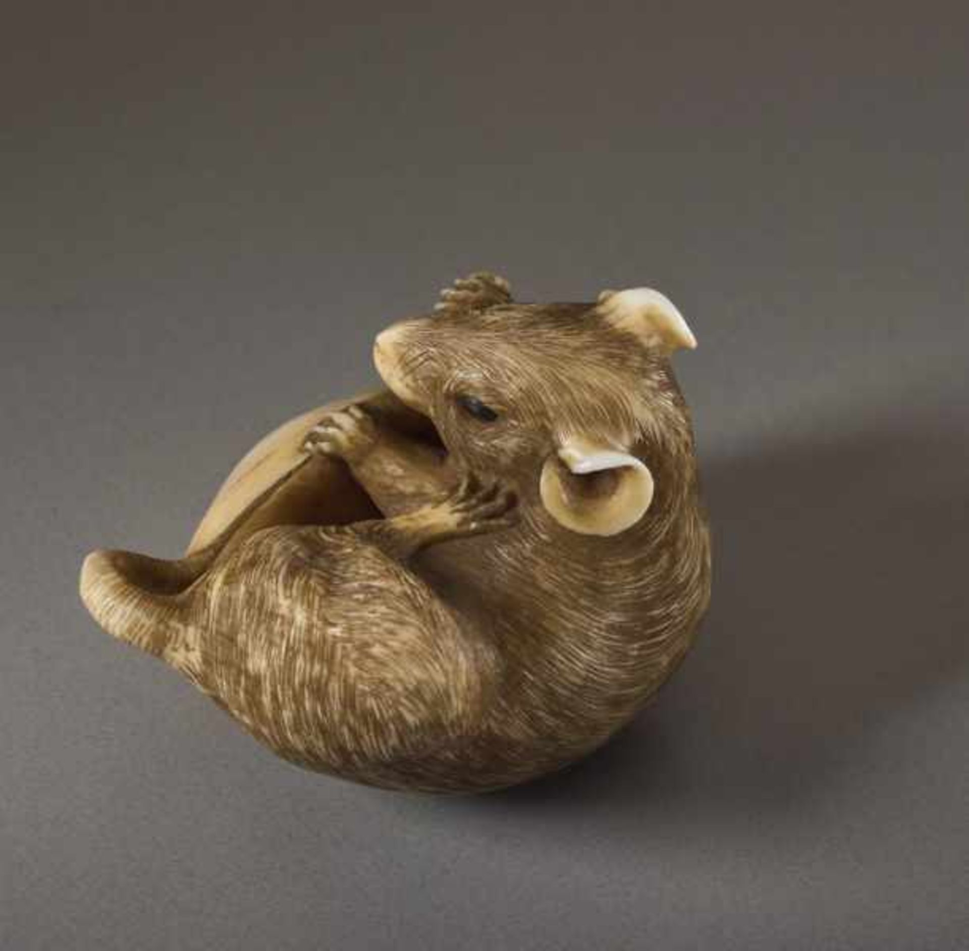 AN IVORY NETSUKE BY BISHU OF A RAT WITH ITS TAIL STUCK IN A CLAM Ivory netsuke. Japan, 20th - Image 3 of 4