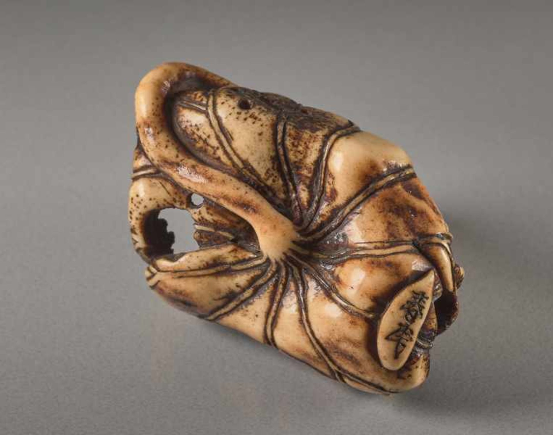 A STAG ANTLER NETSUKE BY SHUNMIN OF A LOTUS LEAF AND INSECTS Stag antler netsuke. Japan, first - Image 5 of 5