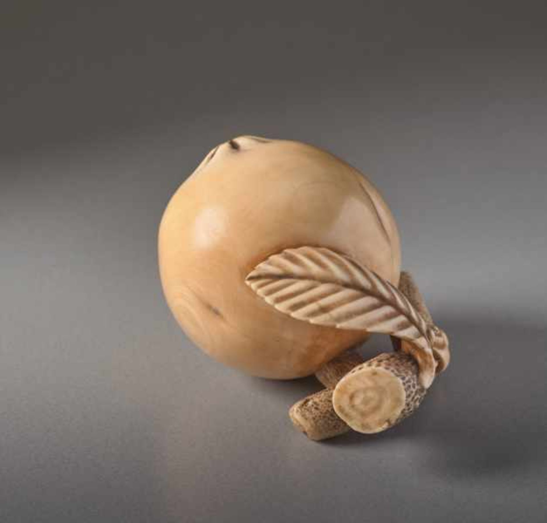 AN IVORY NETSUKE BY MITSUHIRO OF A BIWA FRUIT Ivory netsuke. Japan, 18th centuryThe loquat, a - Image 5 of 5