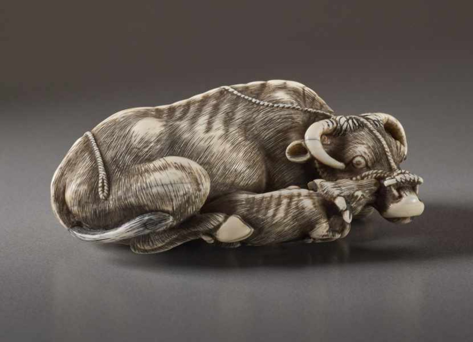 AN IVORY NETSUKE OF A COW SIGNED TOMOTADA Ivory netsuke. Japan, 18th centuryKyoto works depicting