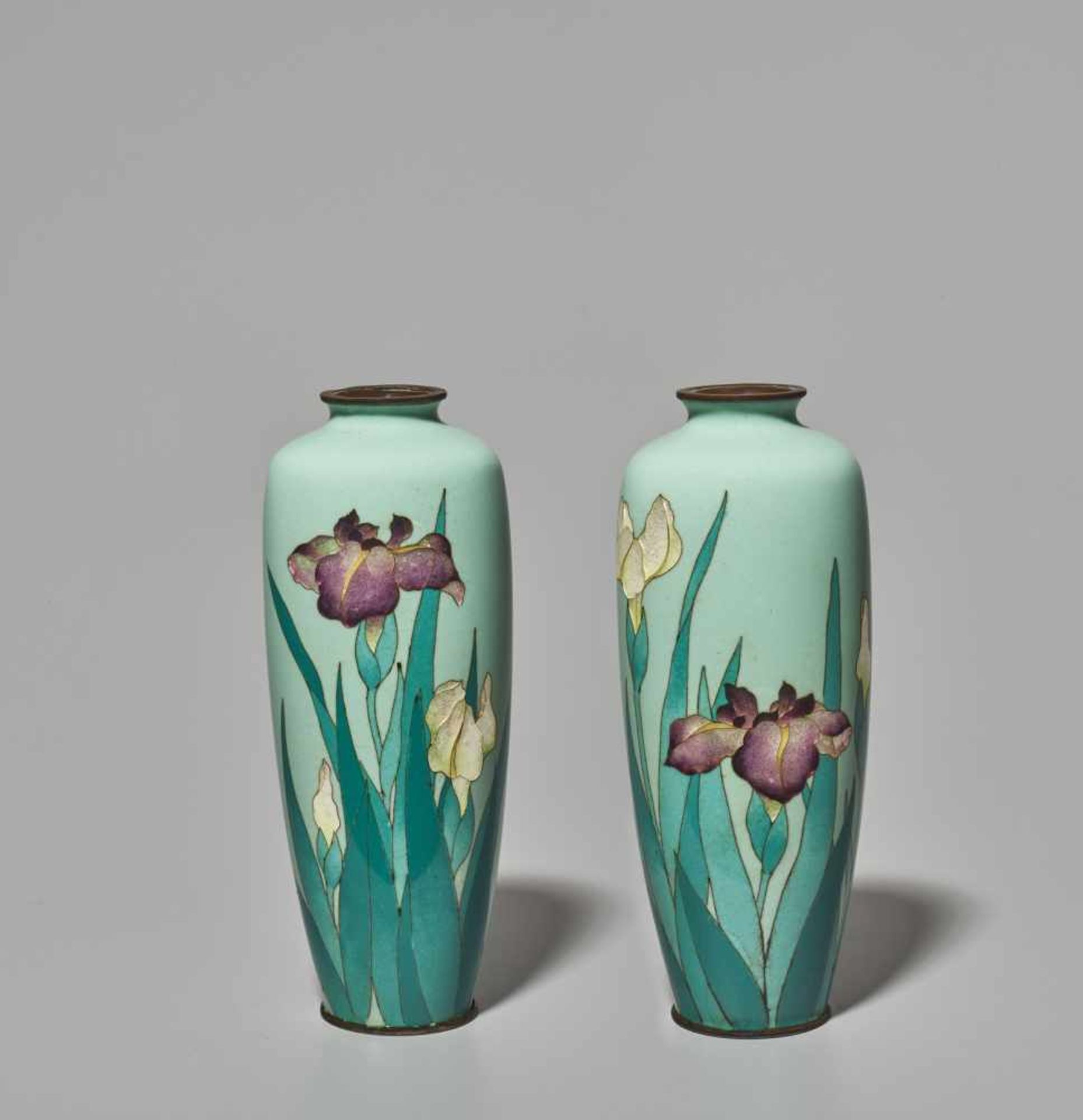 A PAIR OF JAPANESE CLOISONNÉ ENAMEL IRIS VASES WITH GINBARI BLOSSOMS Cloisonné with colored