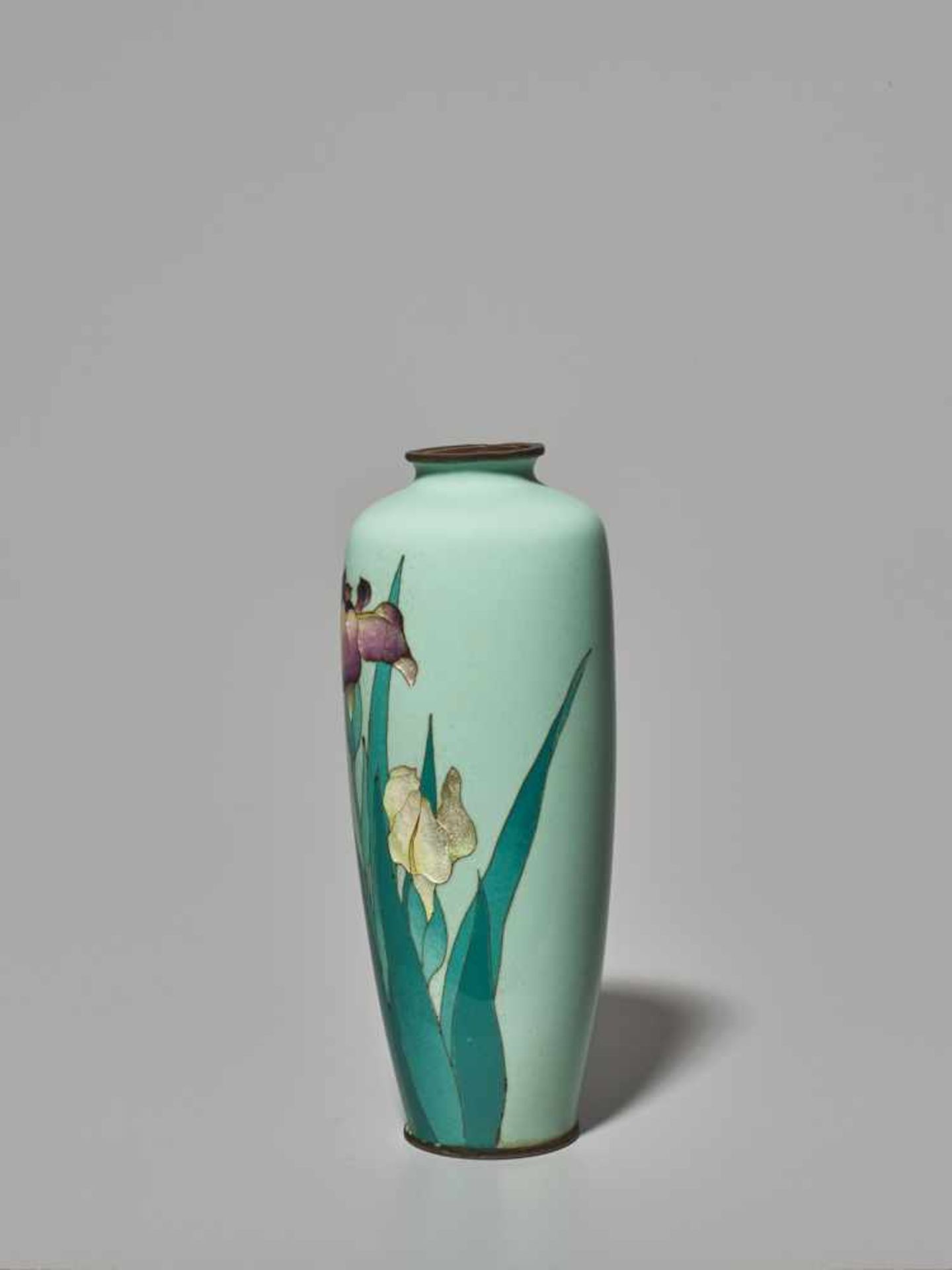 A PAIR OF JAPANESE CLOISONNÉ ENAMEL IRIS VASES WITH GINBARI BLOSSOMS Cloisonné with colored - Image 4 of 13