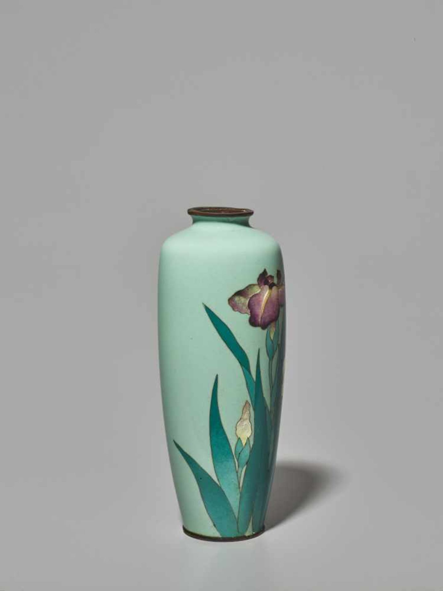 A PAIR OF JAPANESE CLOISONNÉ ENAMEL IRIS VASES WITH GINBARI BLOSSOMS Cloisonné with colored - Image 7 of 13