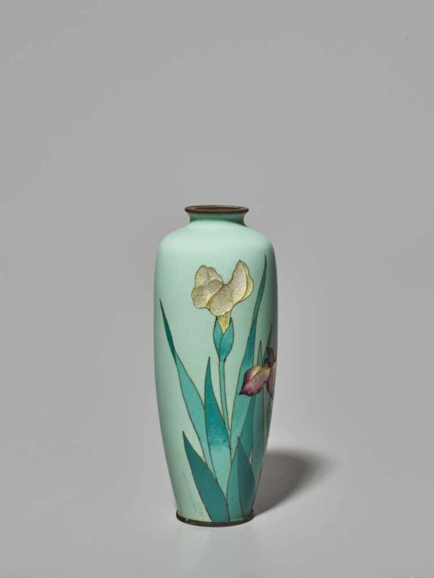 A PAIR OF JAPANESE CLOISONNÉ ENAMEL IRIS VASES WITH GINBARI BLOSSOMS Cloisonné with colored - Image 6 of 13