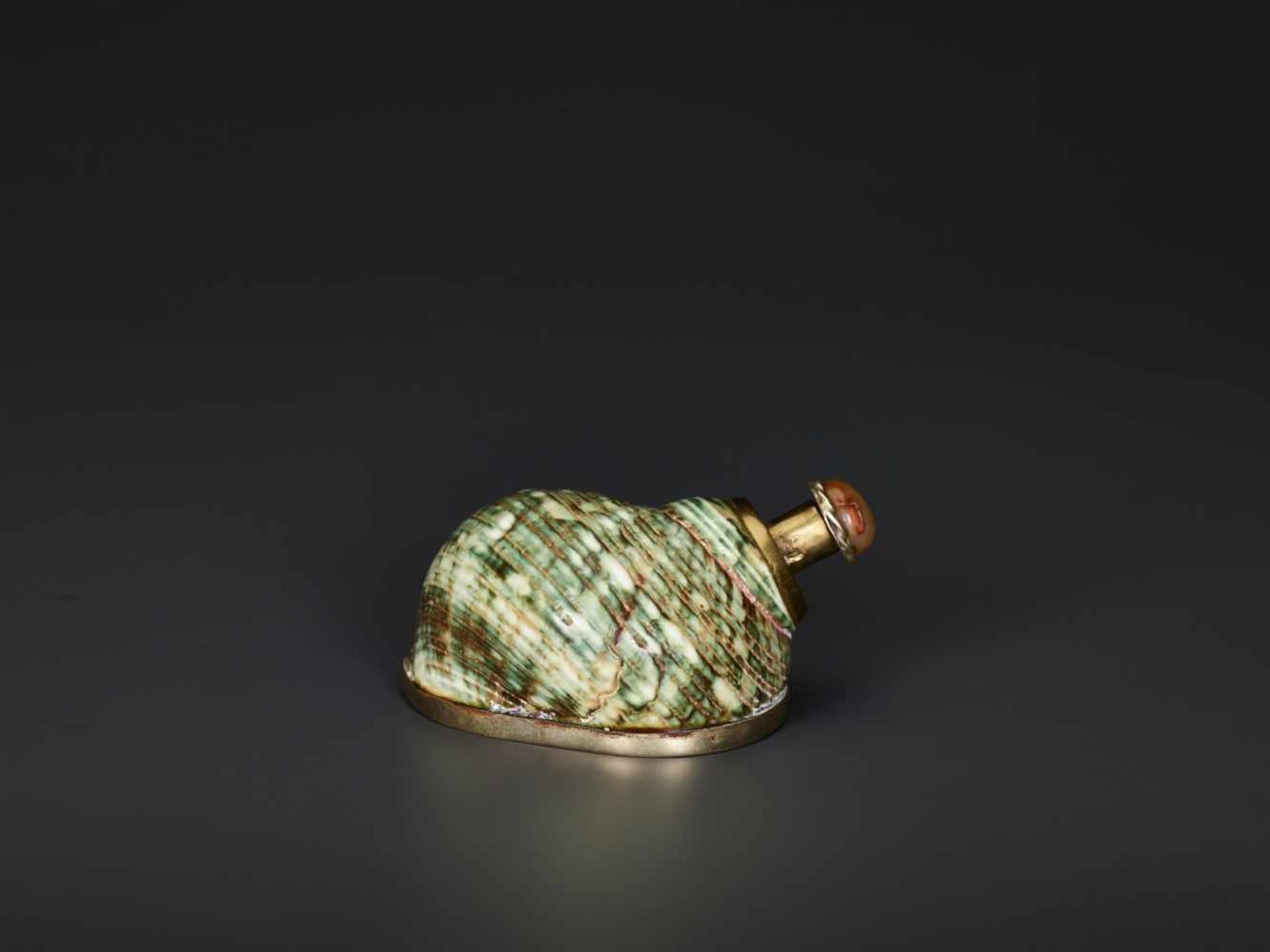 TURBO CONCH PERFUME CONTAINER WITH AGATE STOPPER, 19th CENTURYTurbo conch, silver plate metal and - Bild 4 aus 6