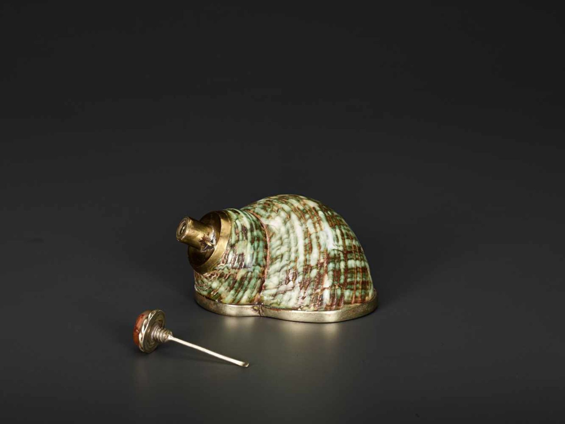 TURBO CONCH PERFUME CONTAINER WITH AGATE STOPPER, 19th CENTURYTurbo conch, silver plate metal and - Image 2 of 6