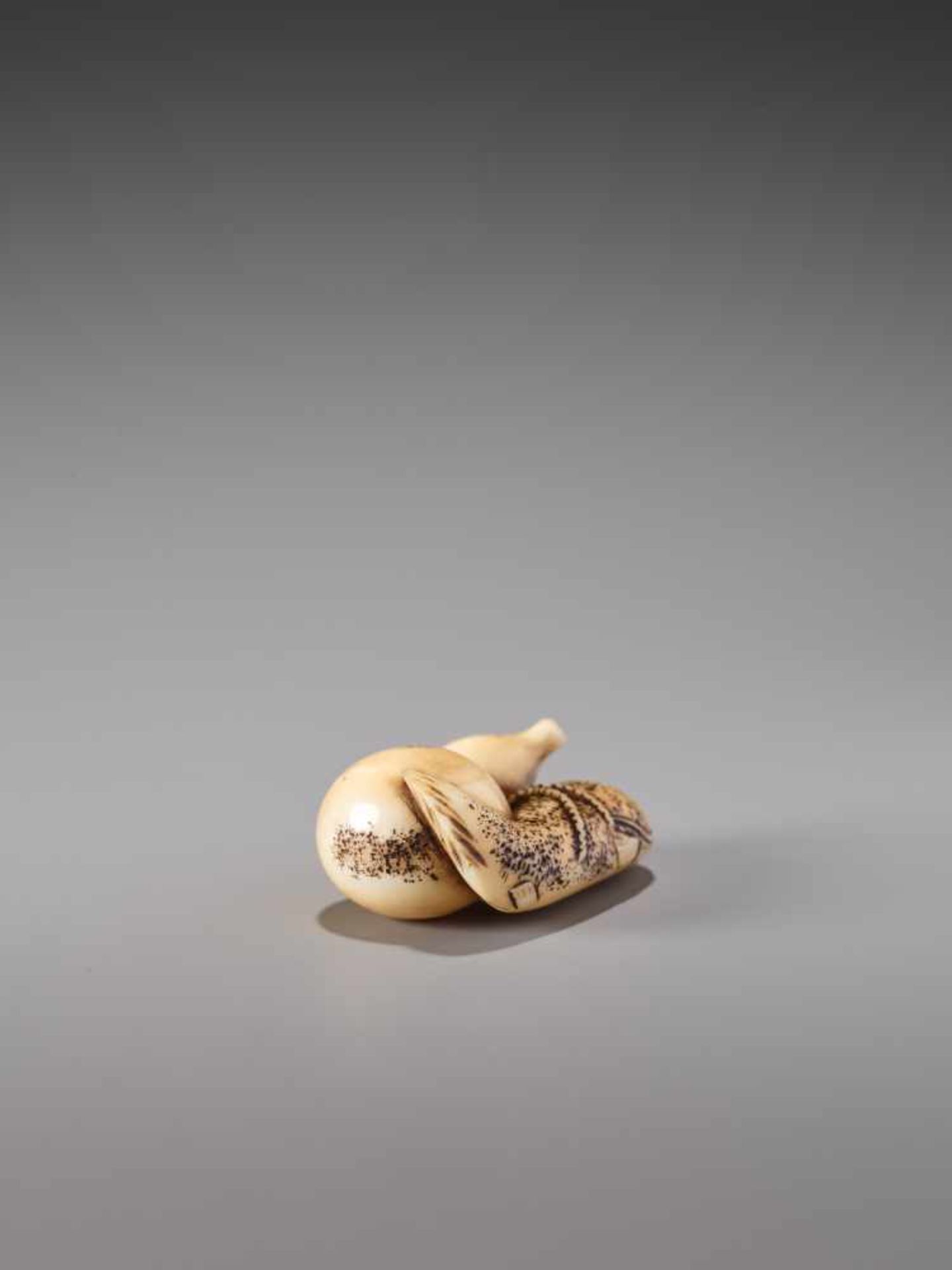 A FINE IVORY NETSUKE OF A NAMAZU TIED TO A GOURDIvory netsukeJapanearly 19th century, Edo period ( - Image 3 of 8