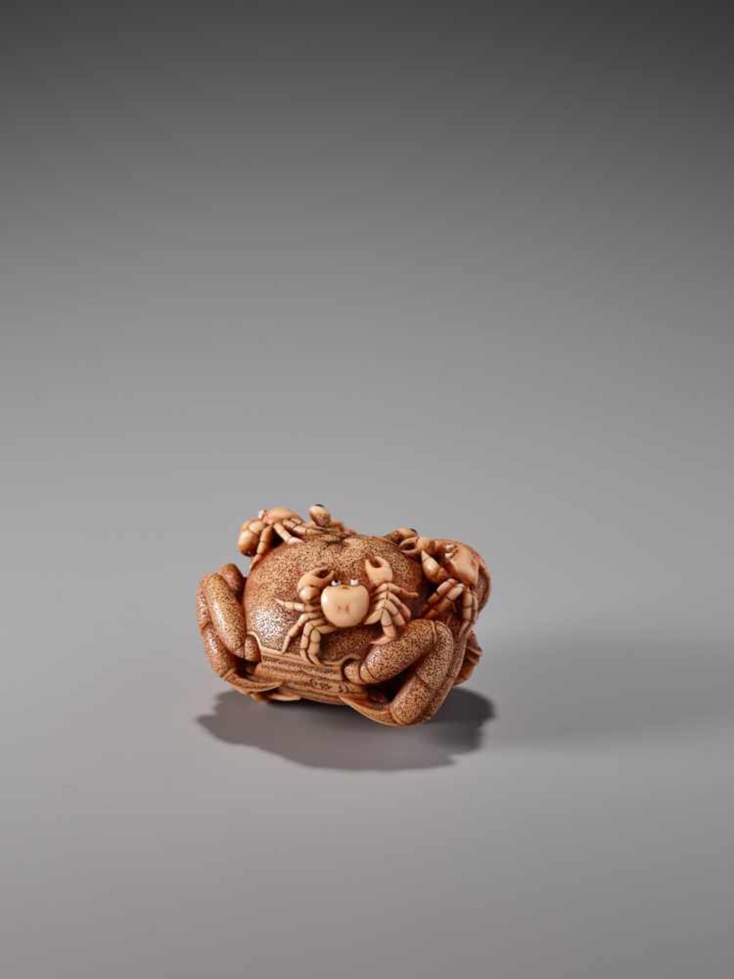 A FINE STAINED IVORY NETSUKE OF A CLUSTER OF CRABS BY IKKUIvory netsukeJapan20th centuryNot a lot is - Image 3 of 9