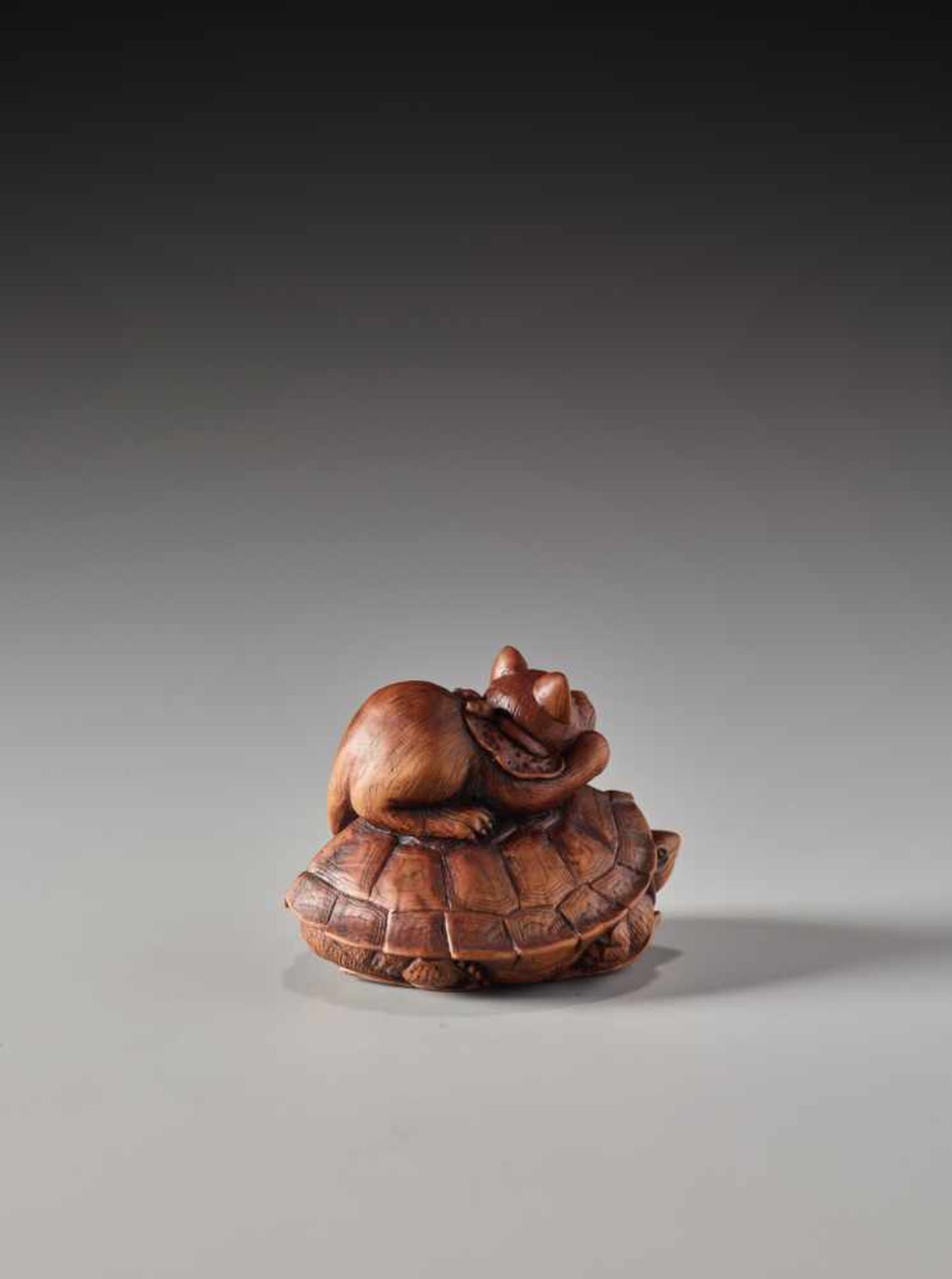 A RARE WOOD NETSUKE OF A CAT AND TORTOISE BY SHOKINWood netsukeJapan19th century, Edo period (1615- - Image 4 of 9