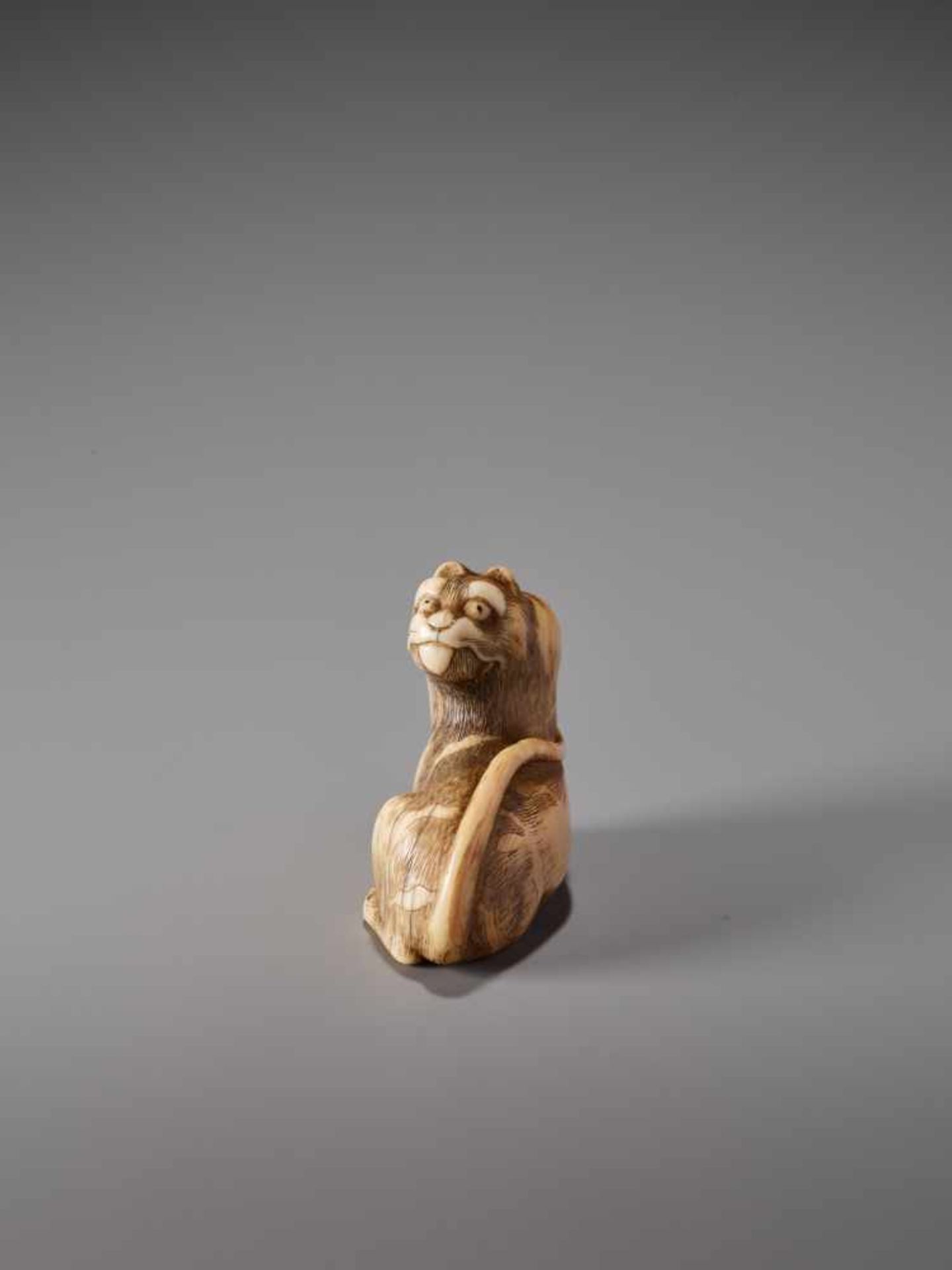 A HUMOROUS IVORY NETSUKE OF A SEATED TIGER WITH ITS TONGUE STRETCHED OUTIvory netsukeJapanearly 19th - Image 3 of 9