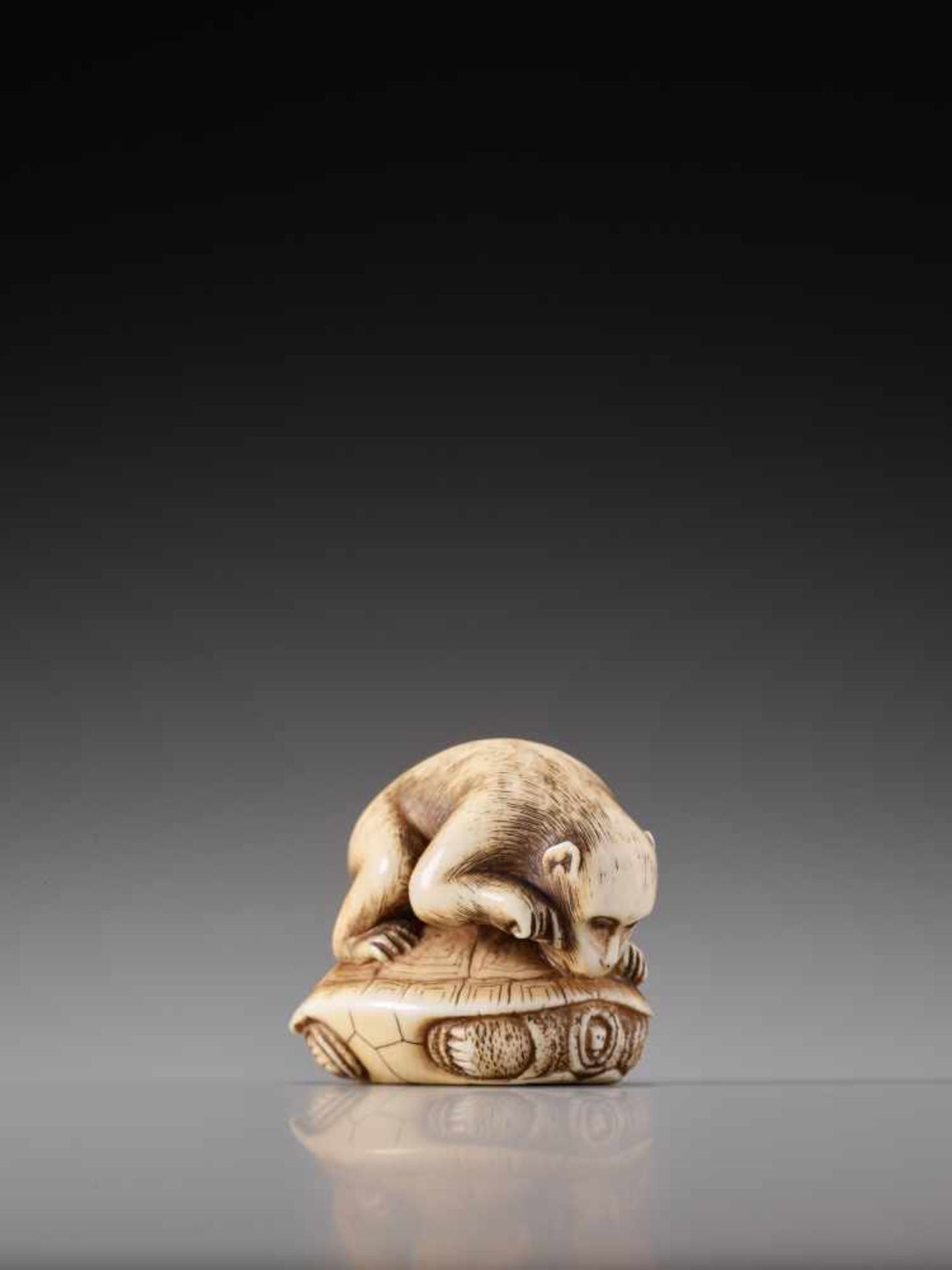 A MAGNIFICENT NETSUKE OF A MONKEY AND TORTOISE BY HOGEN RANTEIIvory netsukeJapan, Kyotolate 18th - Image 6 of 10