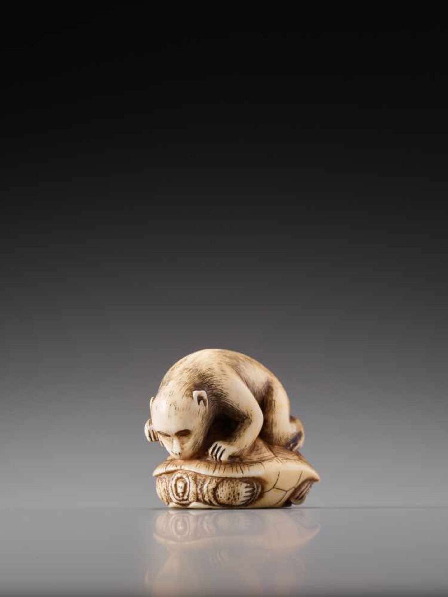 A MAGNIFICENT NETSUKE OF A MONKEY AND TORTOISE BY HOGEN RANTEIIvory netsukeJapan, Kyotolate 18th - Image 5 of 10