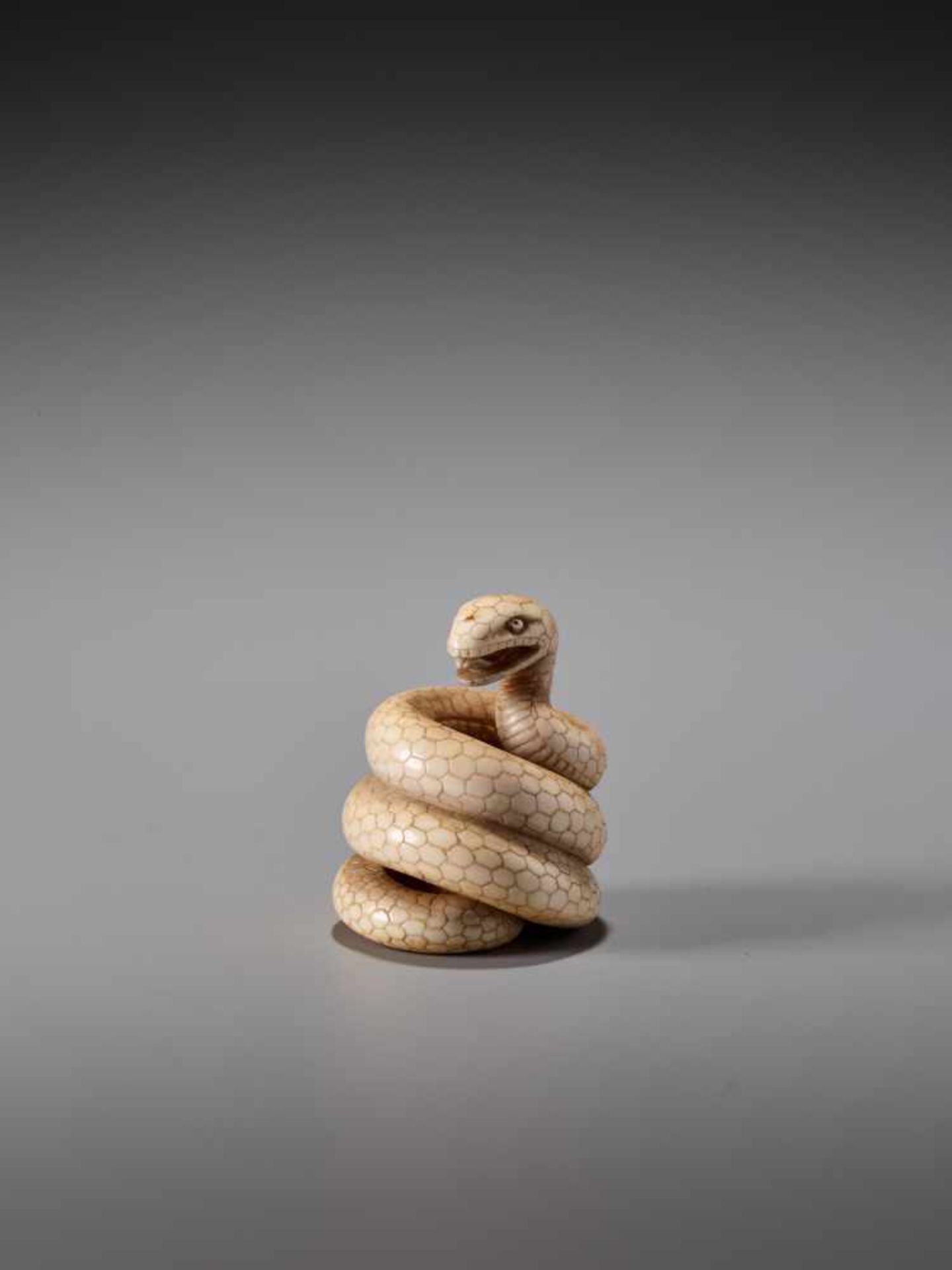 AN IVORY NETSUKE OF A COILED SNAKE SIGNED MASANAOIvory netsukeJapan19th century, Edo period (1615- - Image 4 of 10