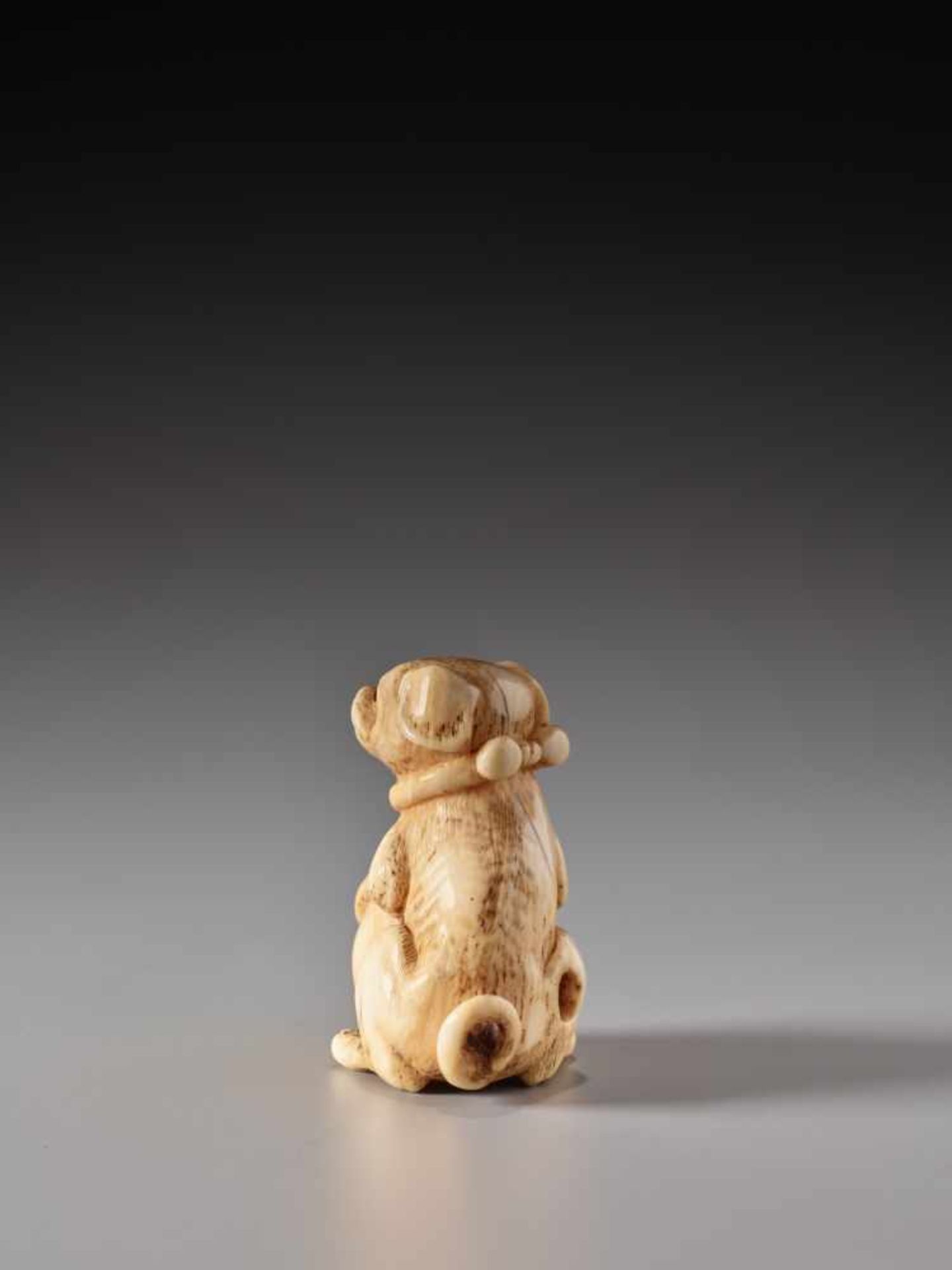 AN IVORY NETSUKE OF A SPOTTED DOG WITH A BALLIvory netsukeJapan19th century, Edo period (1615-1868)A - Image 4 of 7