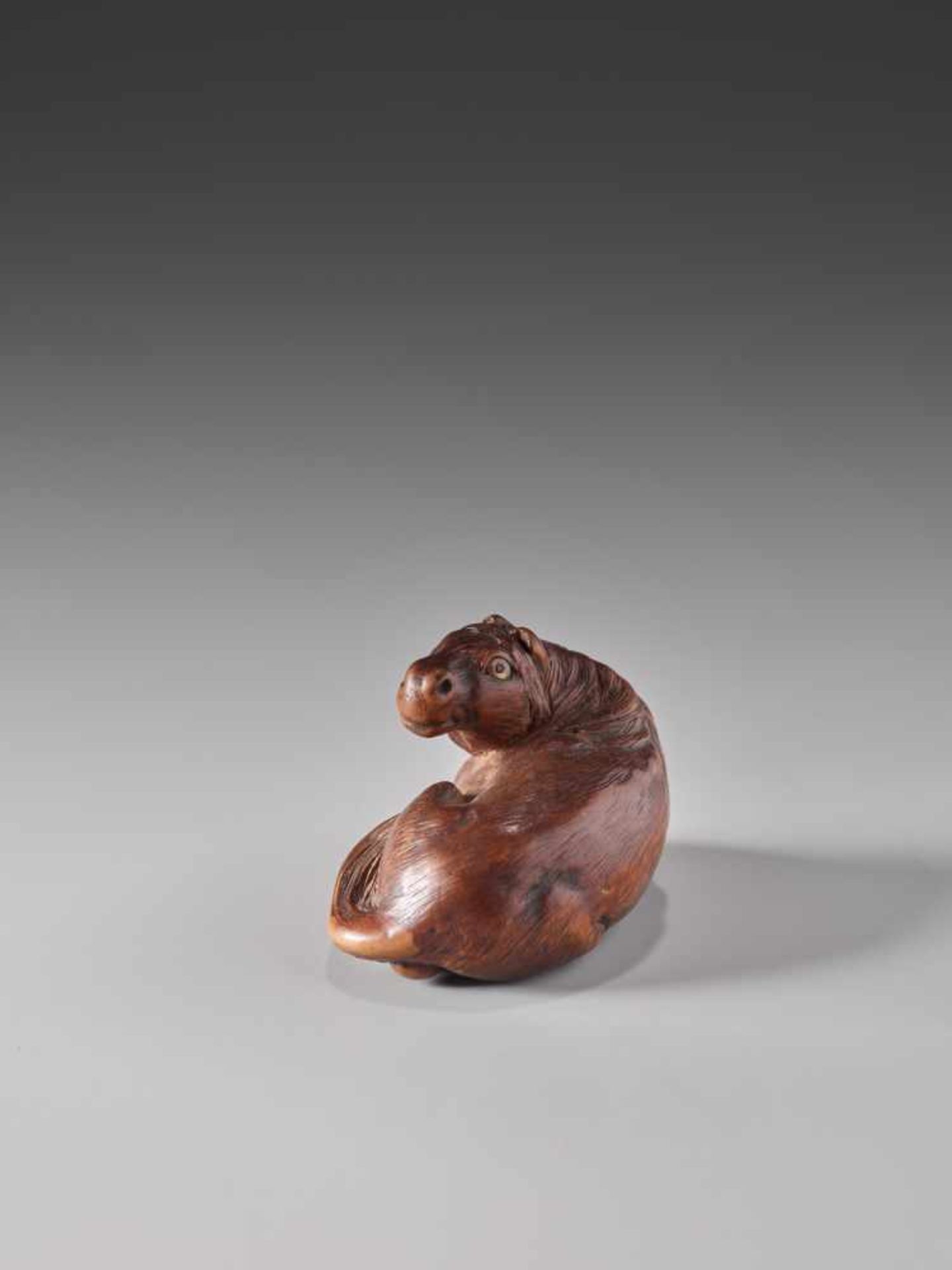 A RARE WOOD NETSUKE OF A RECUMBENT HORSE BY KOKEIWood netsukeJapan, Tsu, Kuwana, Ise Provincefirst - Image 4 of 12