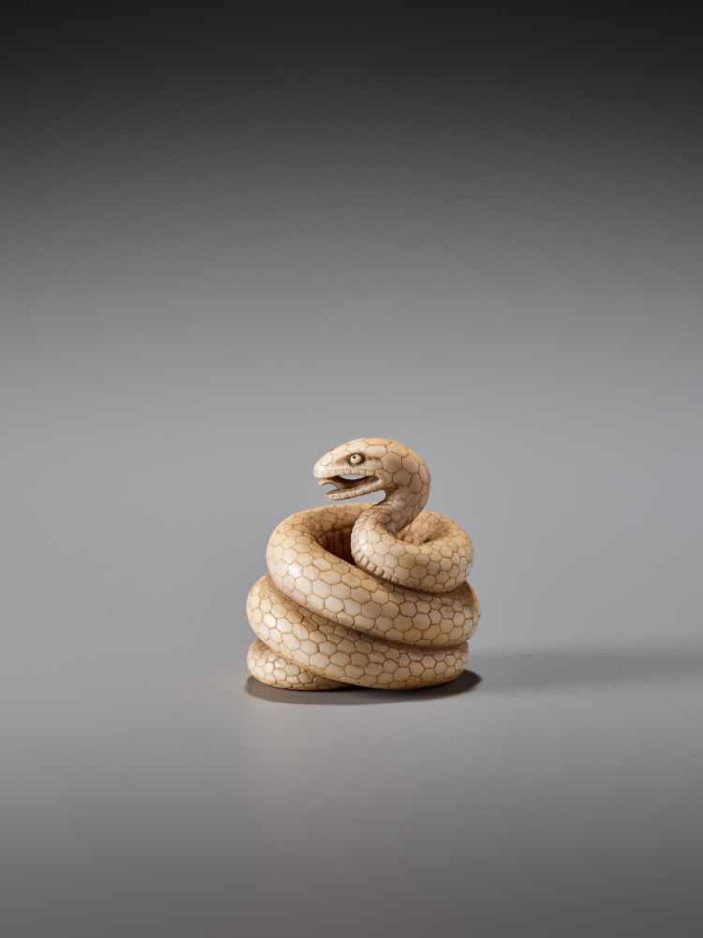 AN IVORY NETSUKE OF A COILED SNAKE SIGNED MASANAOIvory netsukeJapan19th century, Edo period (1615- - Image 5 of 10