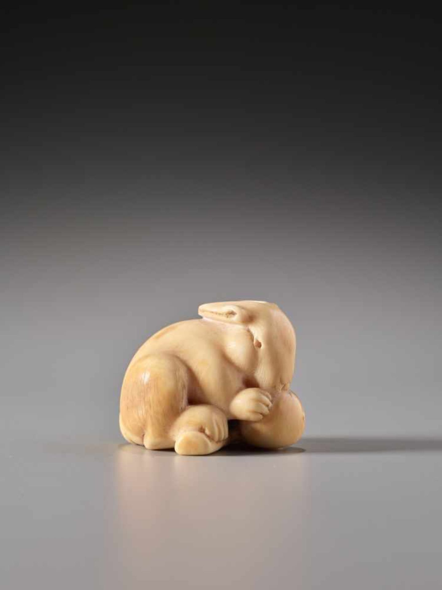 AN IVORY NETSUKE OF A RABBIT WITH LOQUAT BY IKKOIvory netsukeJapan, Nagoya19th century, Edo