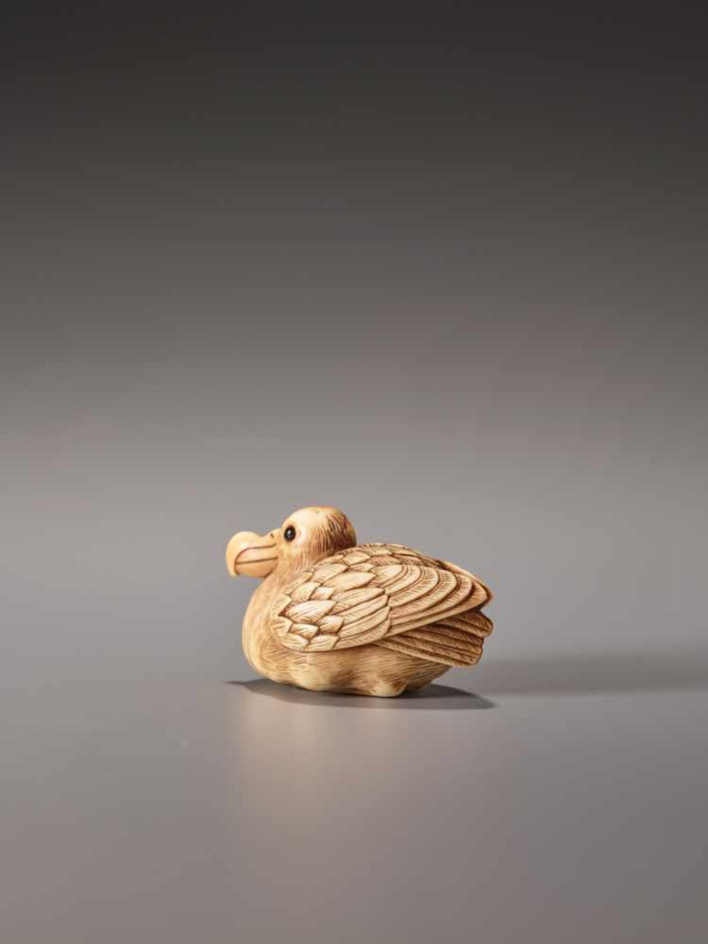 A VERY RARE IVORY NETSUKE OF A SEATED AHODORI (ALBATROSS)Ivory netsukeJapan1st half of 19th century, - Image 4 of 7