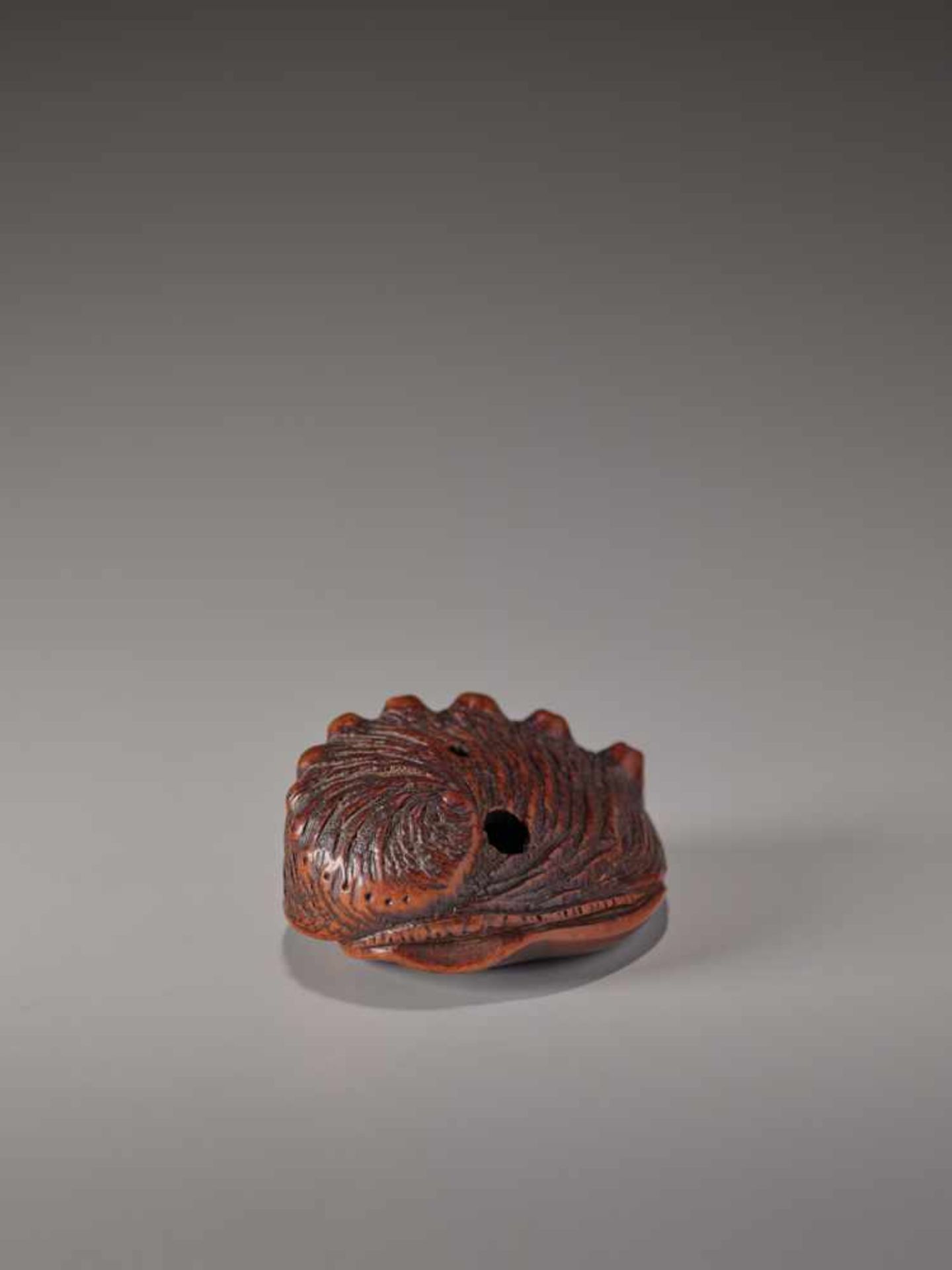 A CHERRY WOOD NETSUKE OF AN AWABI SHELL BY TADATOSHICherry wood netsukeJapan, Nagoyaearly 19th - Image 4 of 7