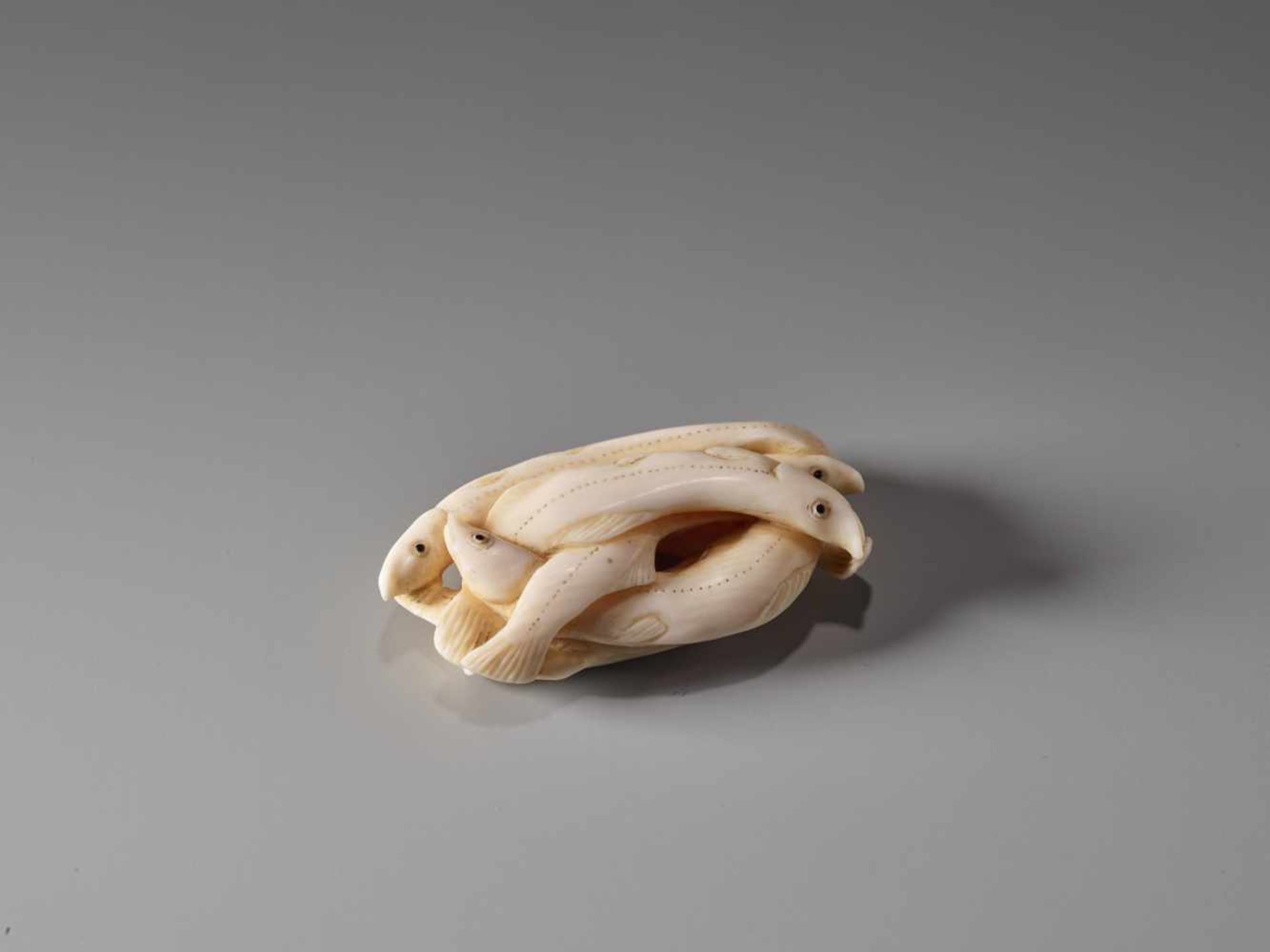 AN IVORY NETSUKE OF SEVEN WHITEBAIT BY RYOKOSAI JUGYOKUIvory netsukeJapan, Edomid-19th century, - Image 4 of 9