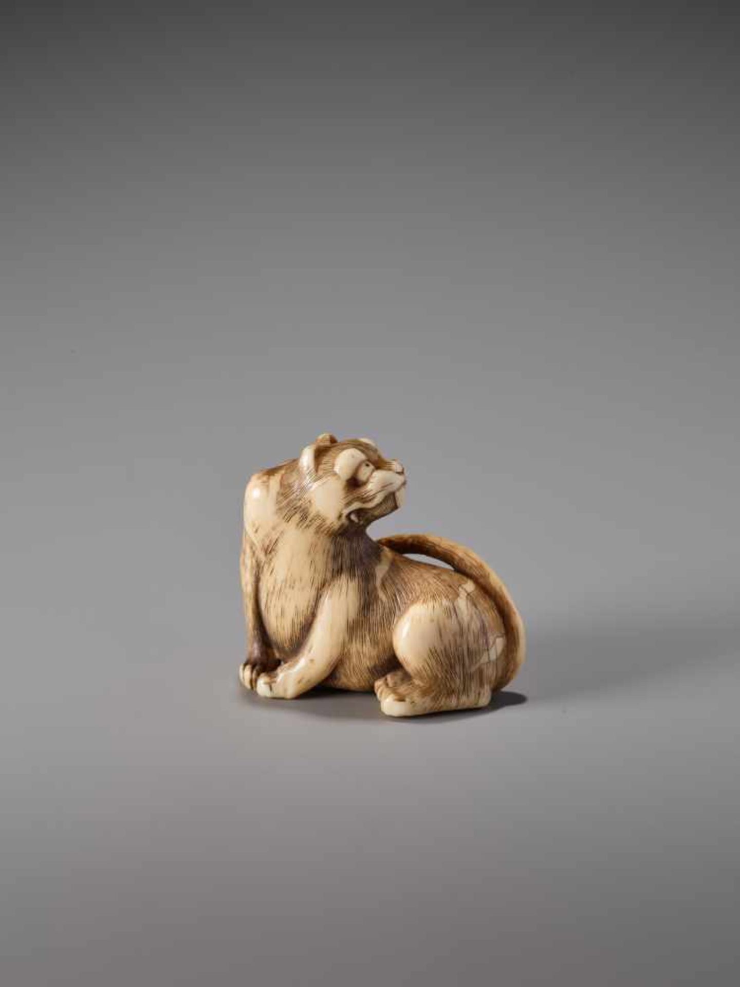 A HUMOROUS IVORY NETSUKE OF A SEATED TIGER WITH ITS TONGUE STRETCHED OUTIvory netsukeJapanearly 19th - Image 6 of 9