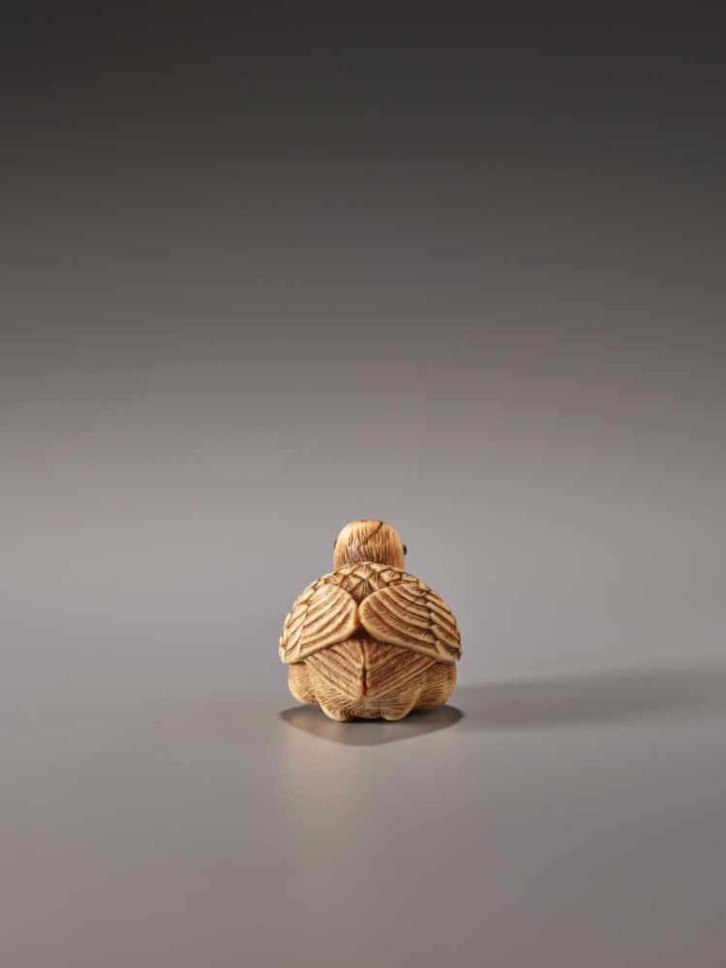 A VERY RARE IVORY NETSUKE OF A SEATED AHODORI (ALBATROSS)Ivory netsukeJapan1st half of 19th century, - Image 6 of 7