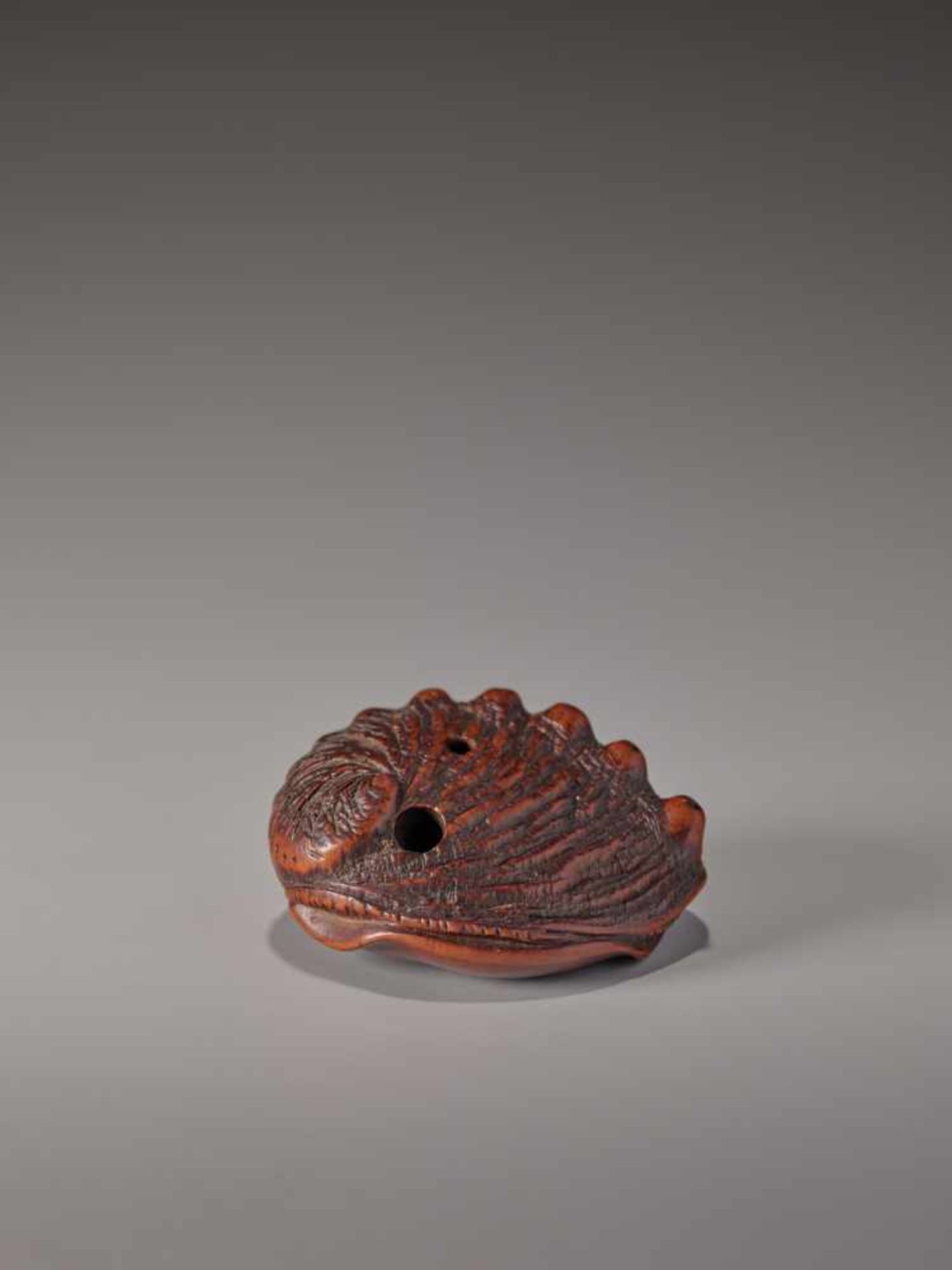 A CHERRY WOOD NETSUKE OF AN AWABI SHELL BY TADATOSHICherry wood netsukeJapan, Nagoyaearly 19th - Image 2 of 7