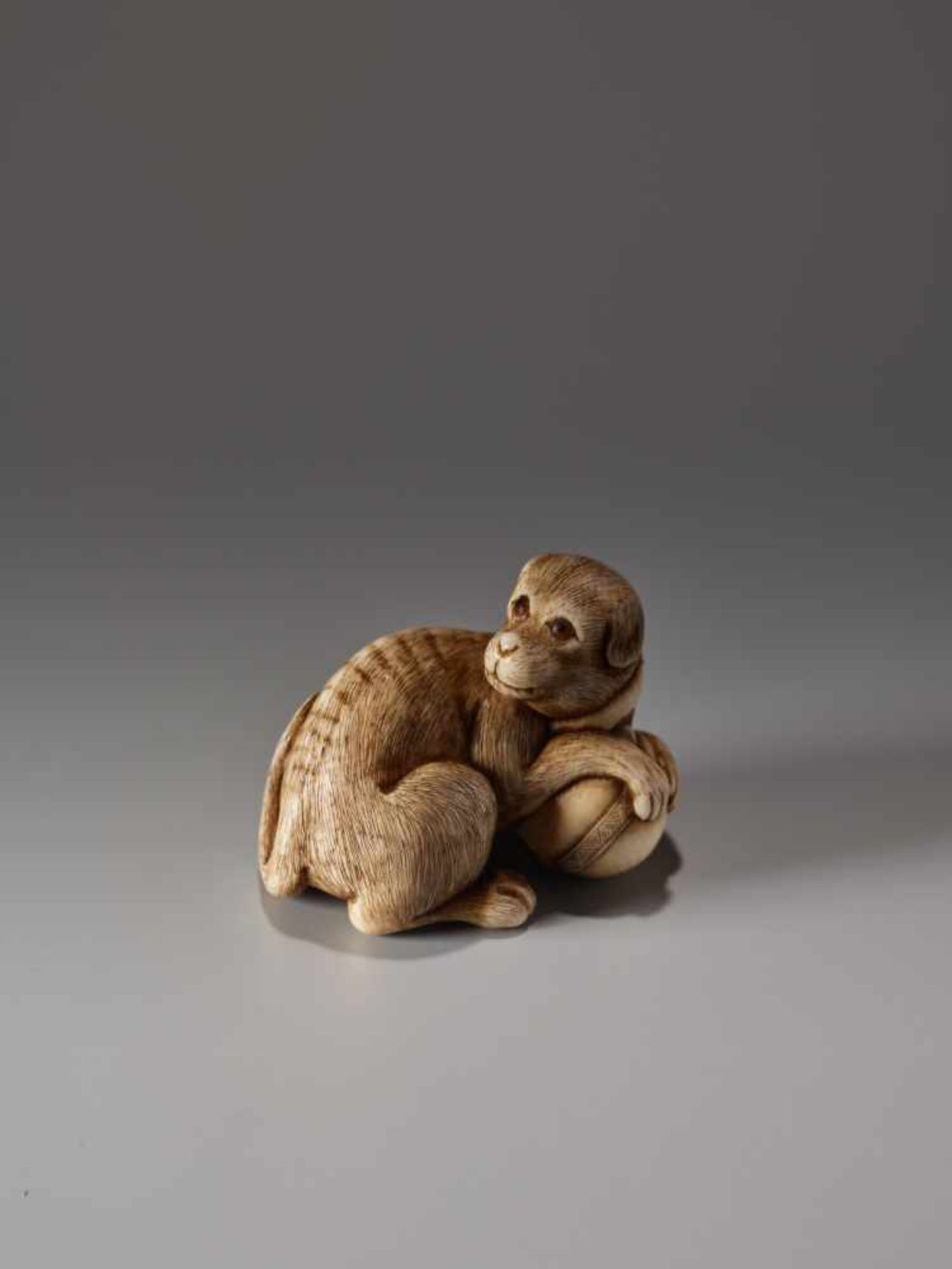 AN IVORY NETSUKE OF A DOG WITH A BALL BY IKKOIvory netsukeJapan, Nagoya19th century, Edo period (