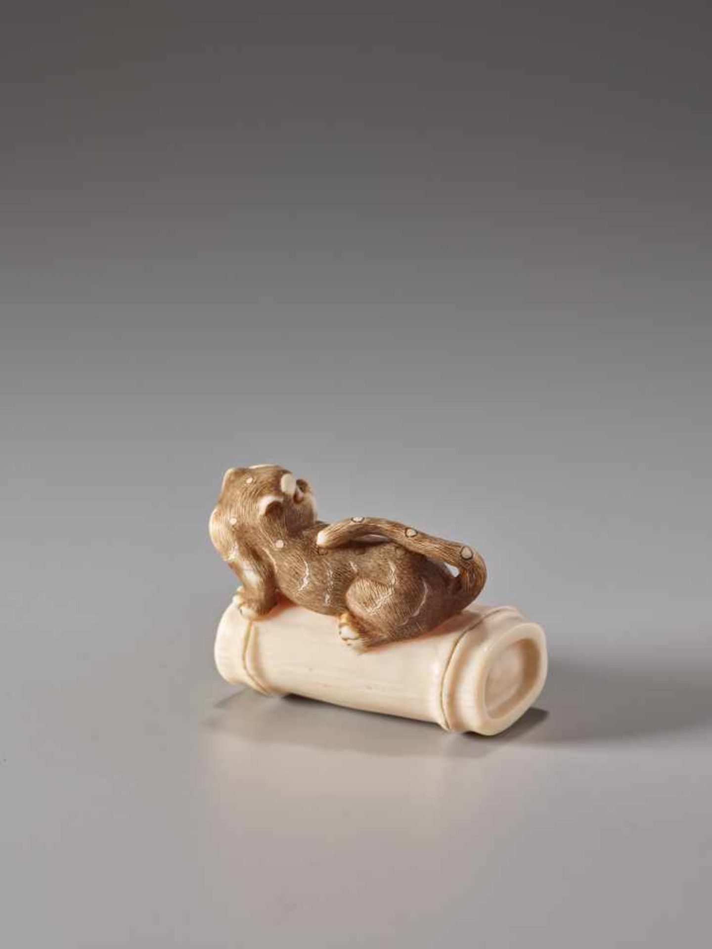 AN AMUSING IVORY NETSUKE OF A TIGER ON BAMBOOIvory netsukeJapan, Kansai region19th century, Edo - Image 4 of 6