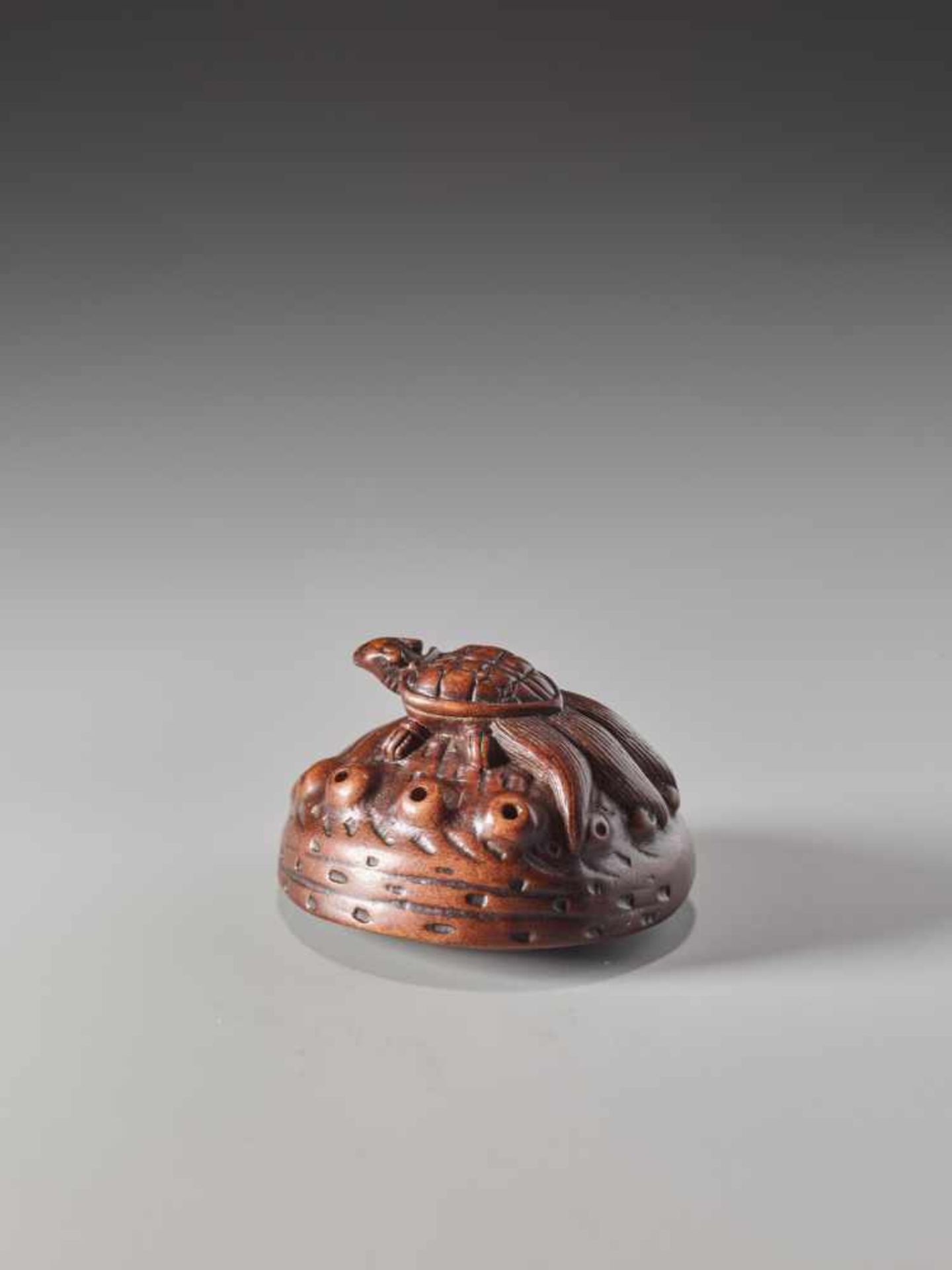 A WOOD NETSUKE OF A MINOGAME ON AN AWABIWood netsukeJapanlate 18th to 1st half of 19th century, - Image 2 of 7