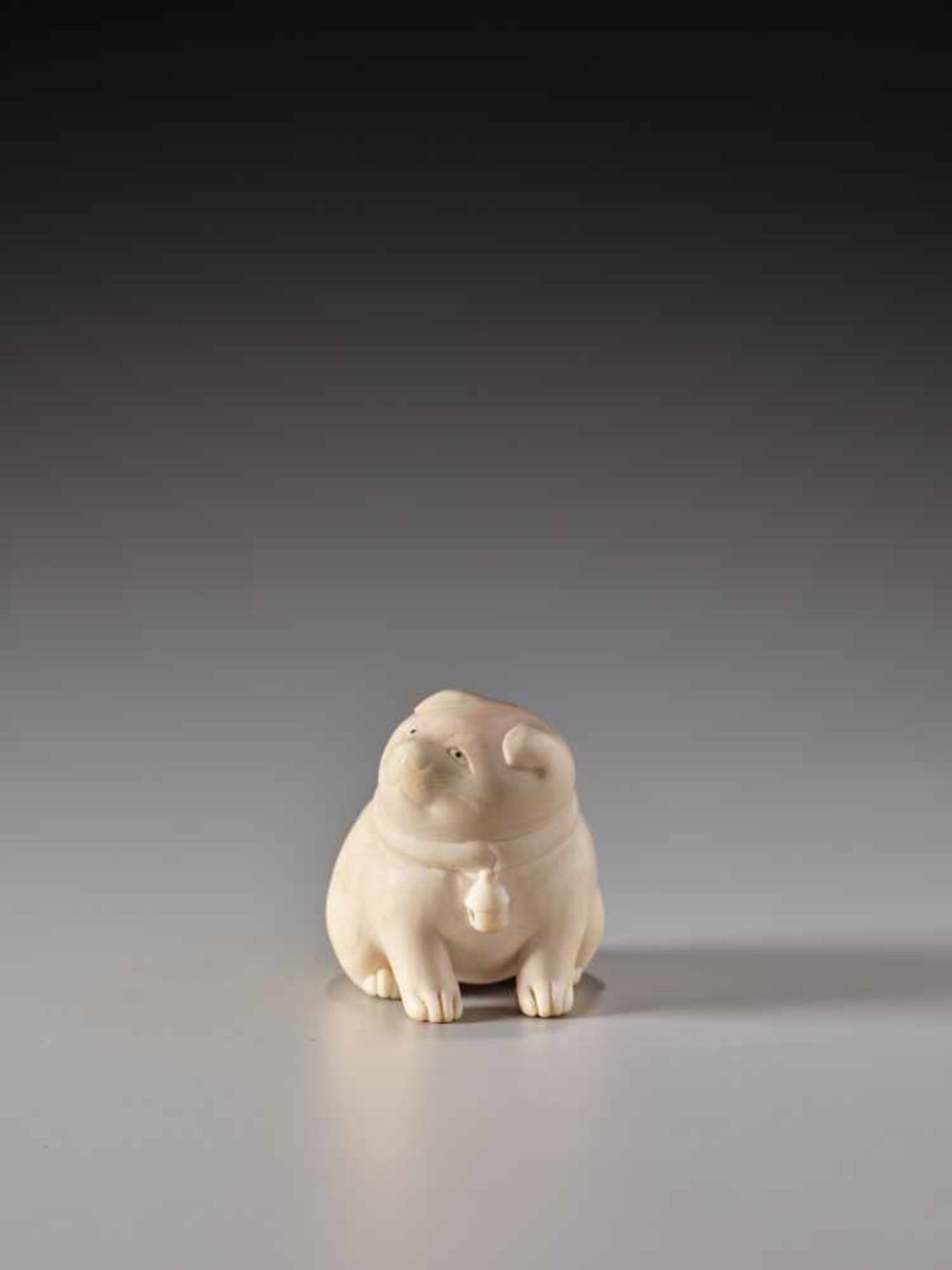 AN AMUSING IVORY NETSUKE OF A TUBBY PUPPY WITH BELLIvory netsukeJapanmid-19th century, Edo period ( - Image 2 of 6