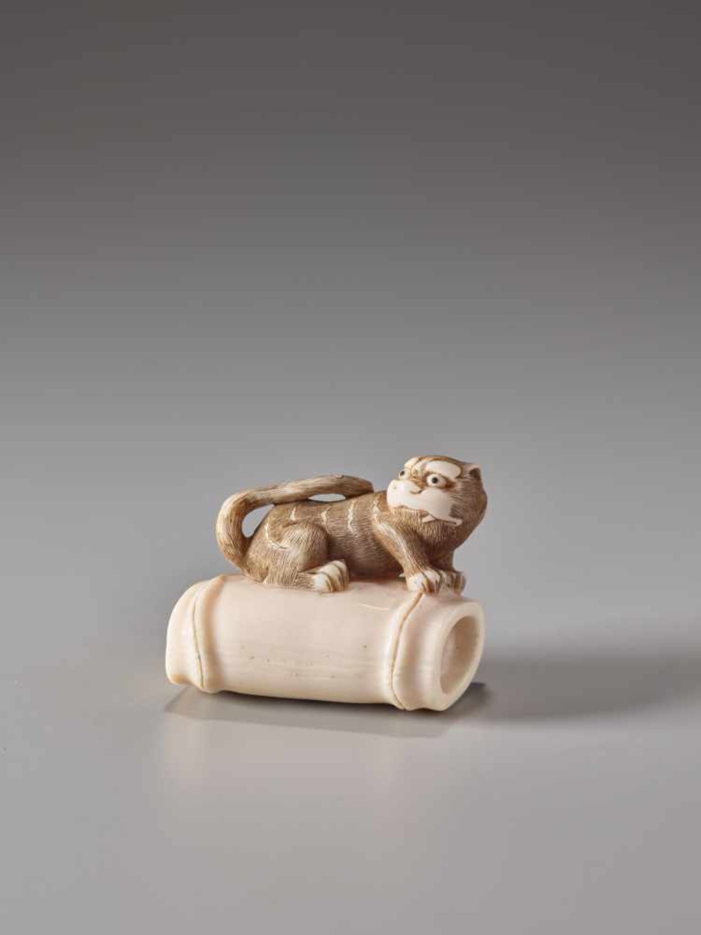 AN AMUSING IVORY NETSUKE OF A TIGER ON BAMBOOIvory netsukeJapan, Kansai region19th century, Edo - Image 2 of 6