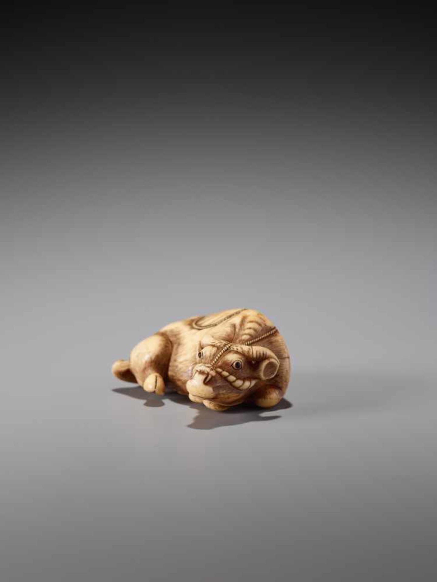 A POWERFUL IVORY NETSUKE OF A RECUMBENT OX BY TOMOTADAIvory netsukeJapan, Kyoto18th century, Edo