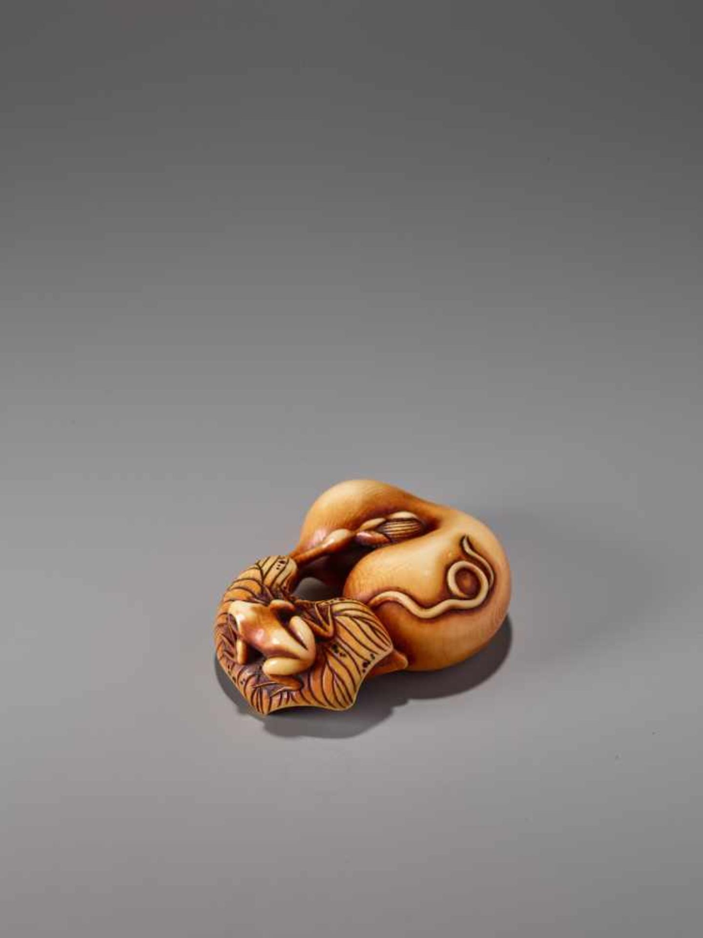 A FINE IVORY NETSUKE OF A FROG WITH GOURD BY RENSAI IIIvory netsukeJapan, Asakusalate 19th - Image 4 of 9