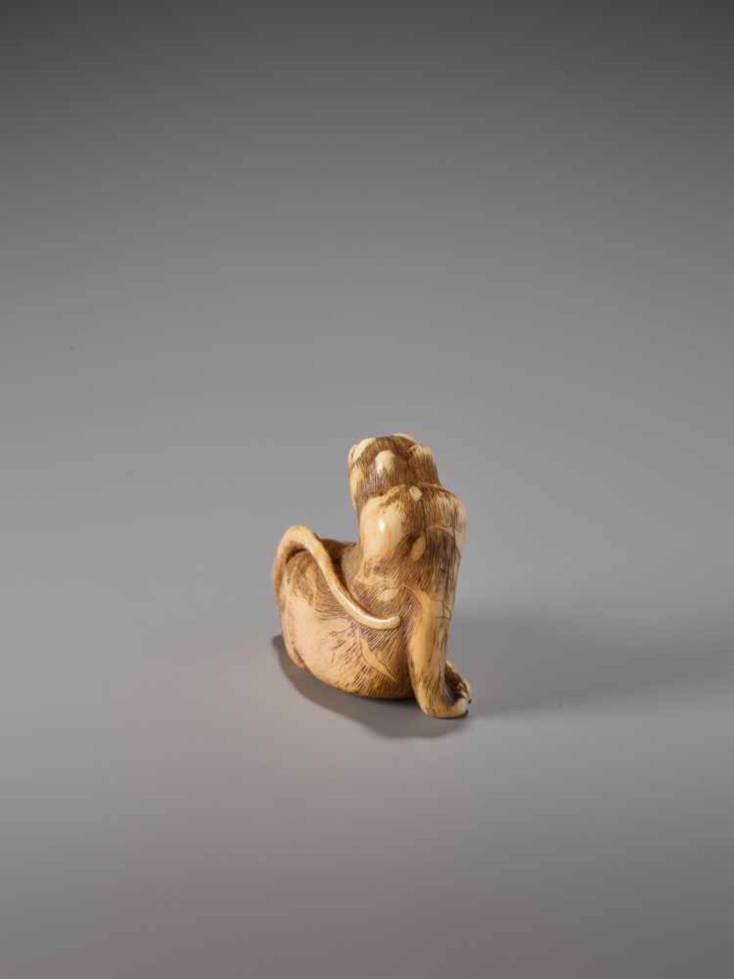 A HUMOROUS IVORY NETSUKE OF A SEATED TIGER WITH ITS TONGUE STRETCHED OUTIvory netsukeJapanearly 19th - Image 5 of 9