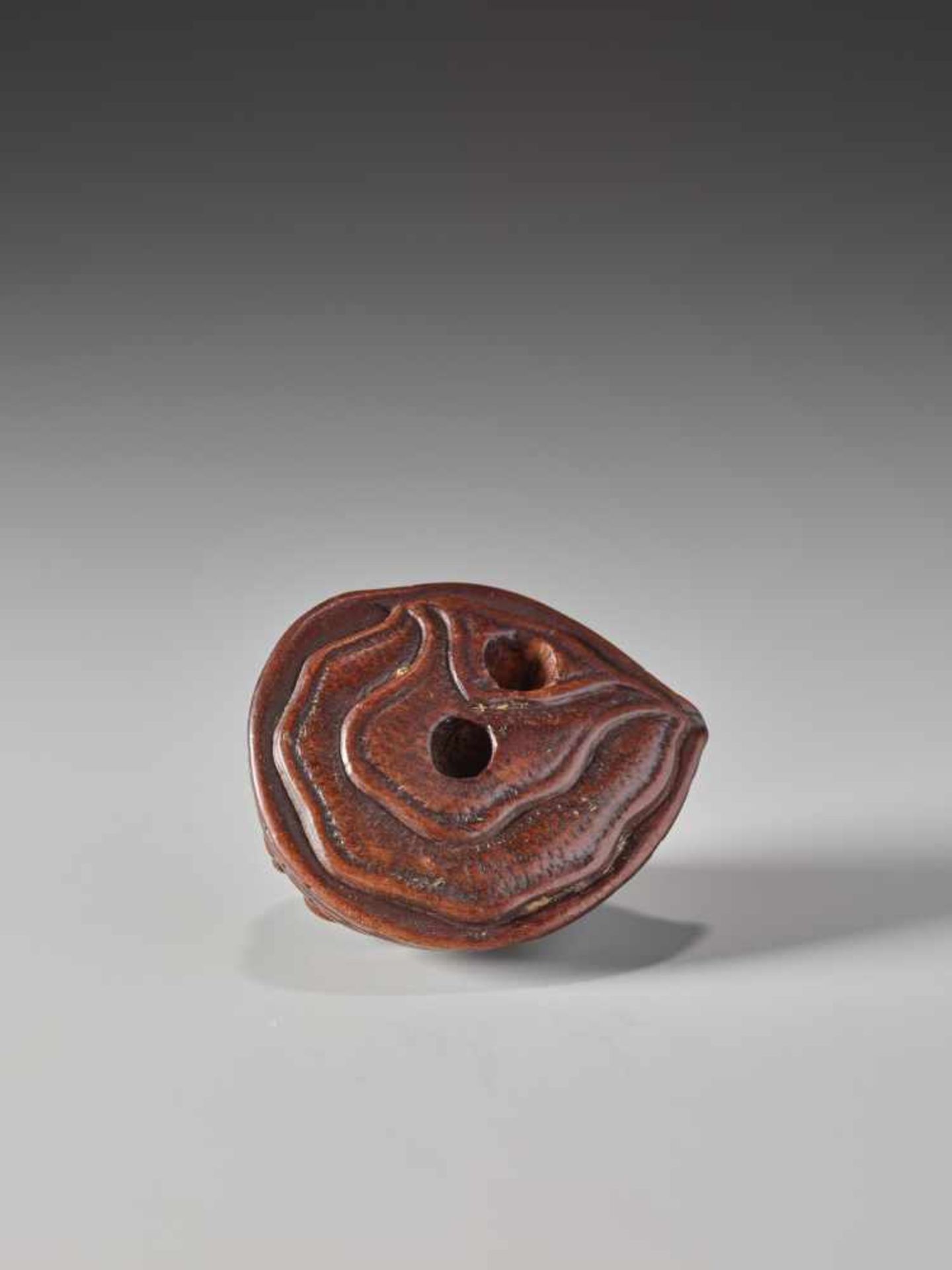 A WOOD NETSUKE OF A MINOGAME ON AN AWABIWood netsukeJapanlate 18th to 1st half of 19th century, - Image 7 of 7